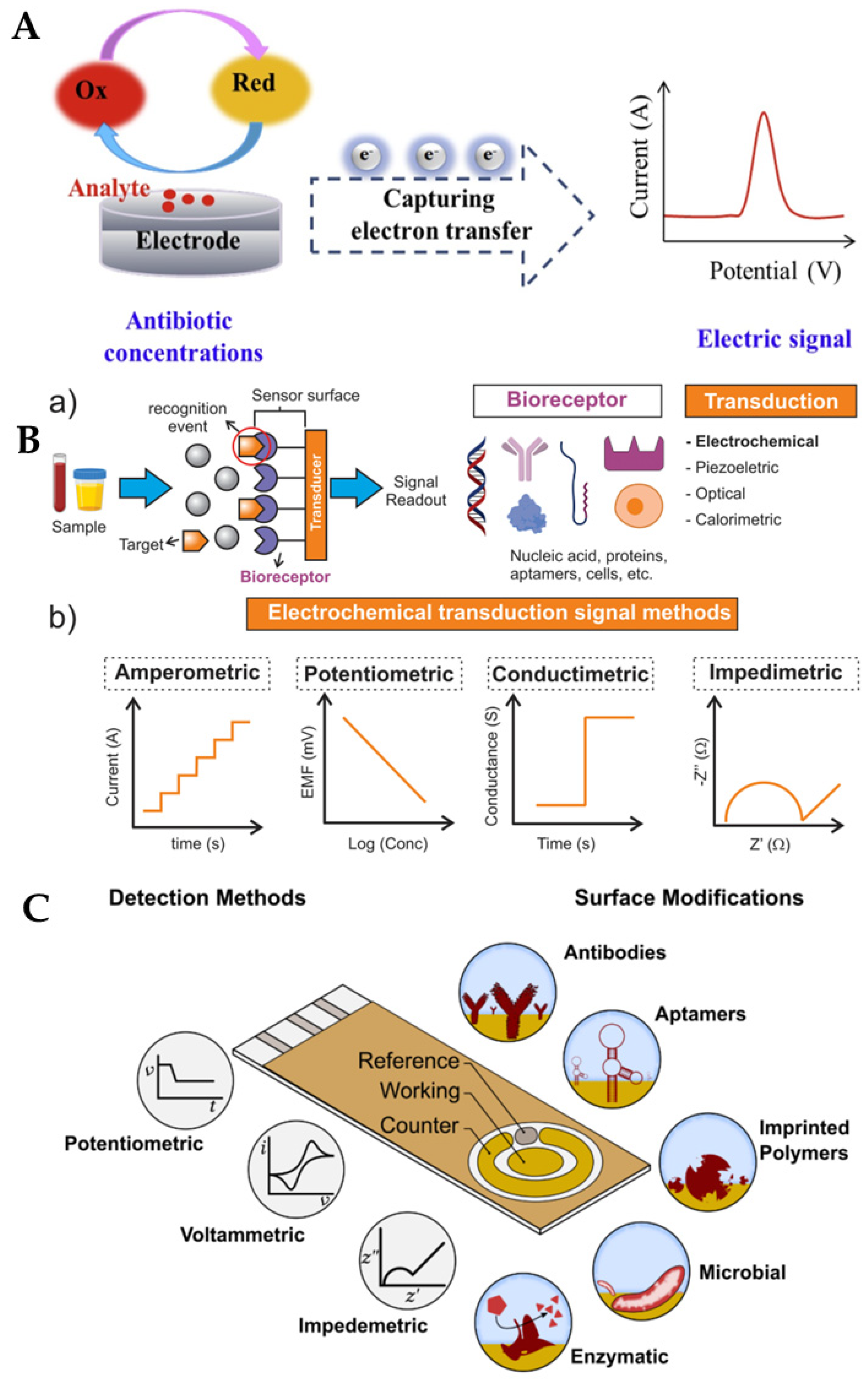 Biosensors 13 00867 g003 Biosensors 13 00867 g003