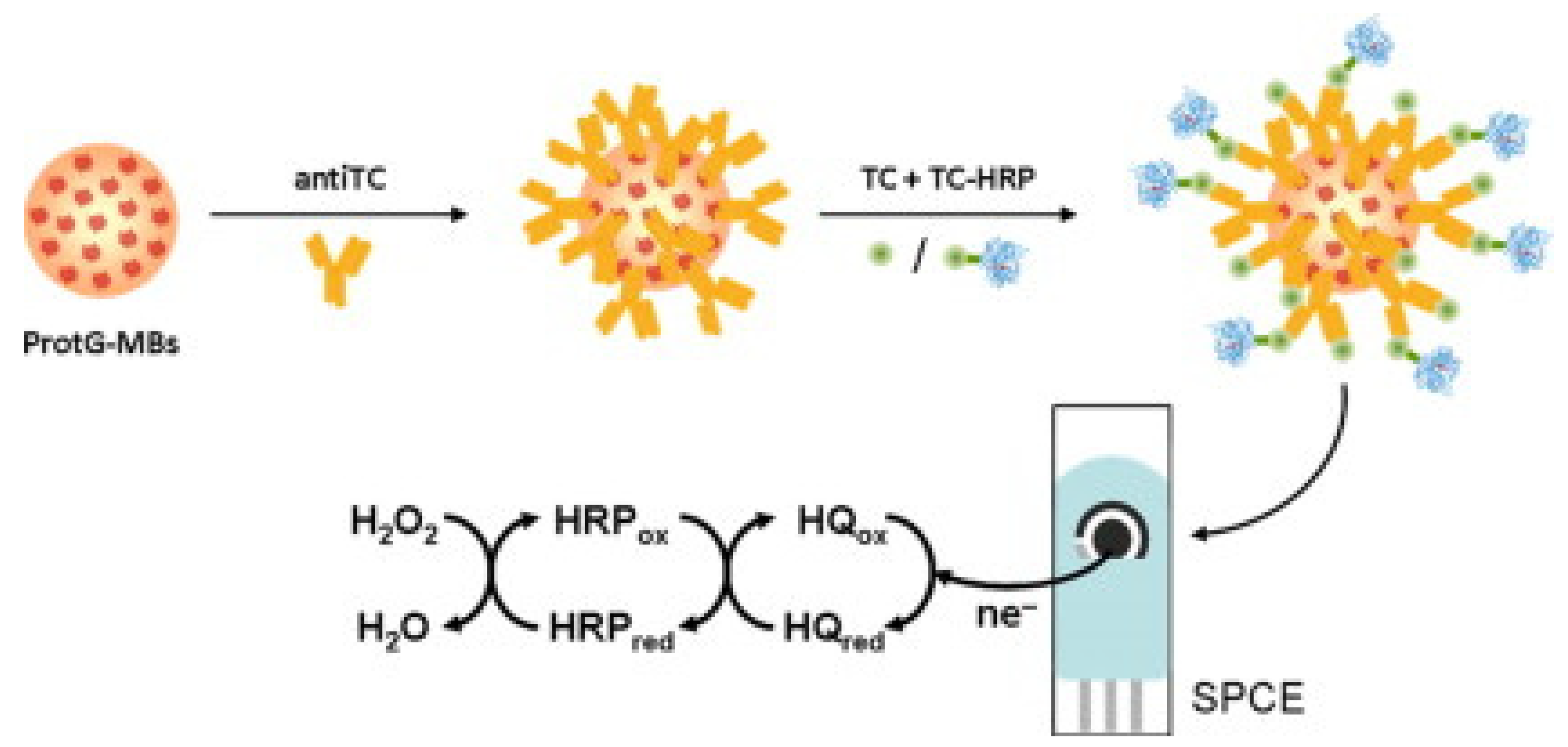 Biosensors 13 00867 g006 Biosensors 13 00867 g006