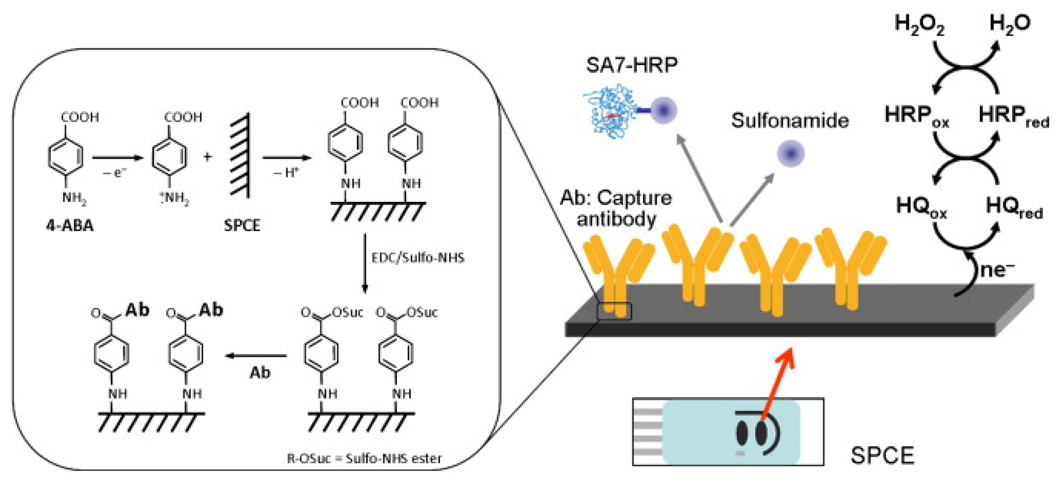 Biosensors 13 00867 g007 Biosensors 13 00867 g007