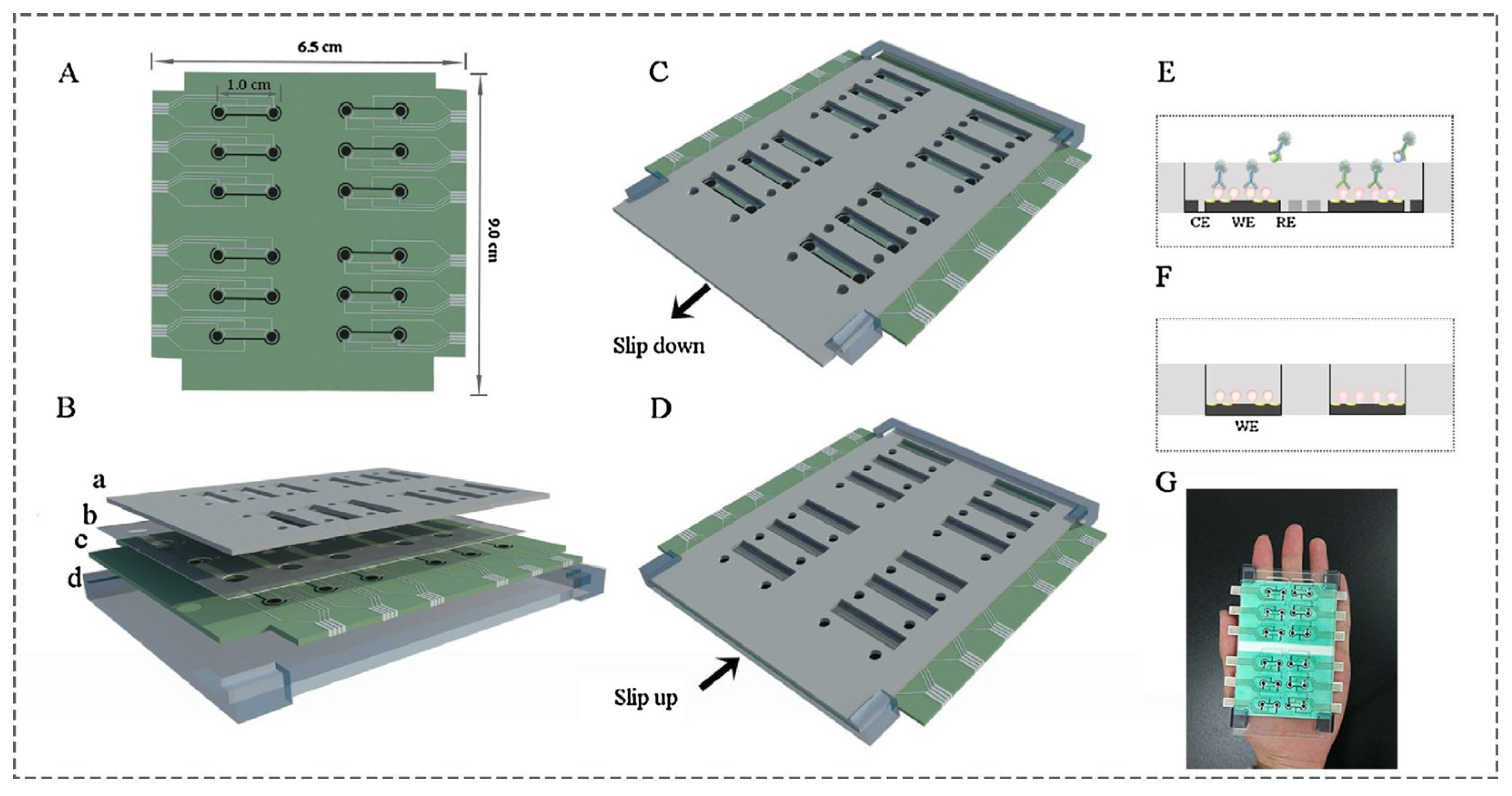 Biosensors 13 00867 g008 Biosensors 13 00867 g008
