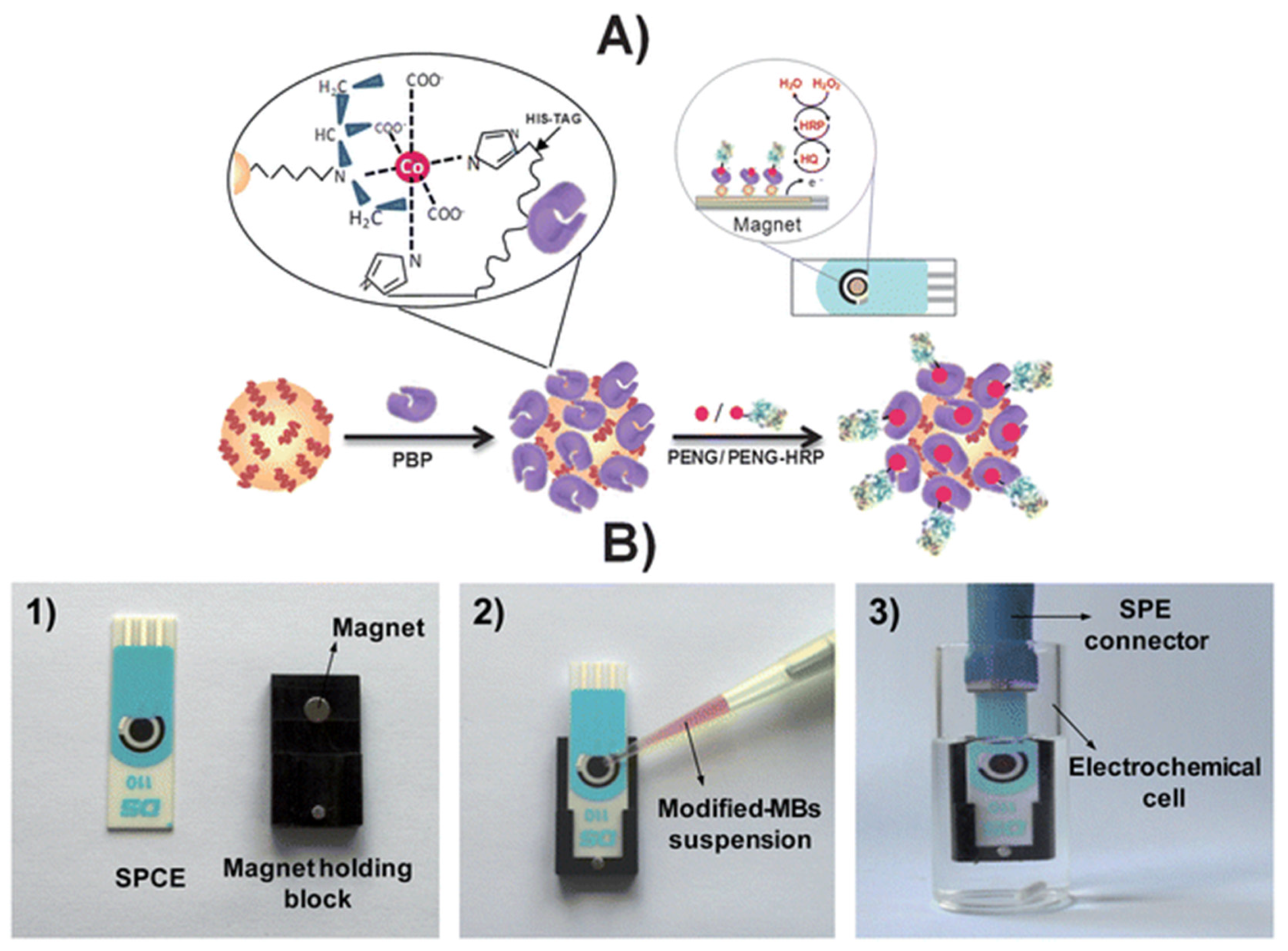 Biosensors 13 00867 g010 Biosensors 13 00867 g010