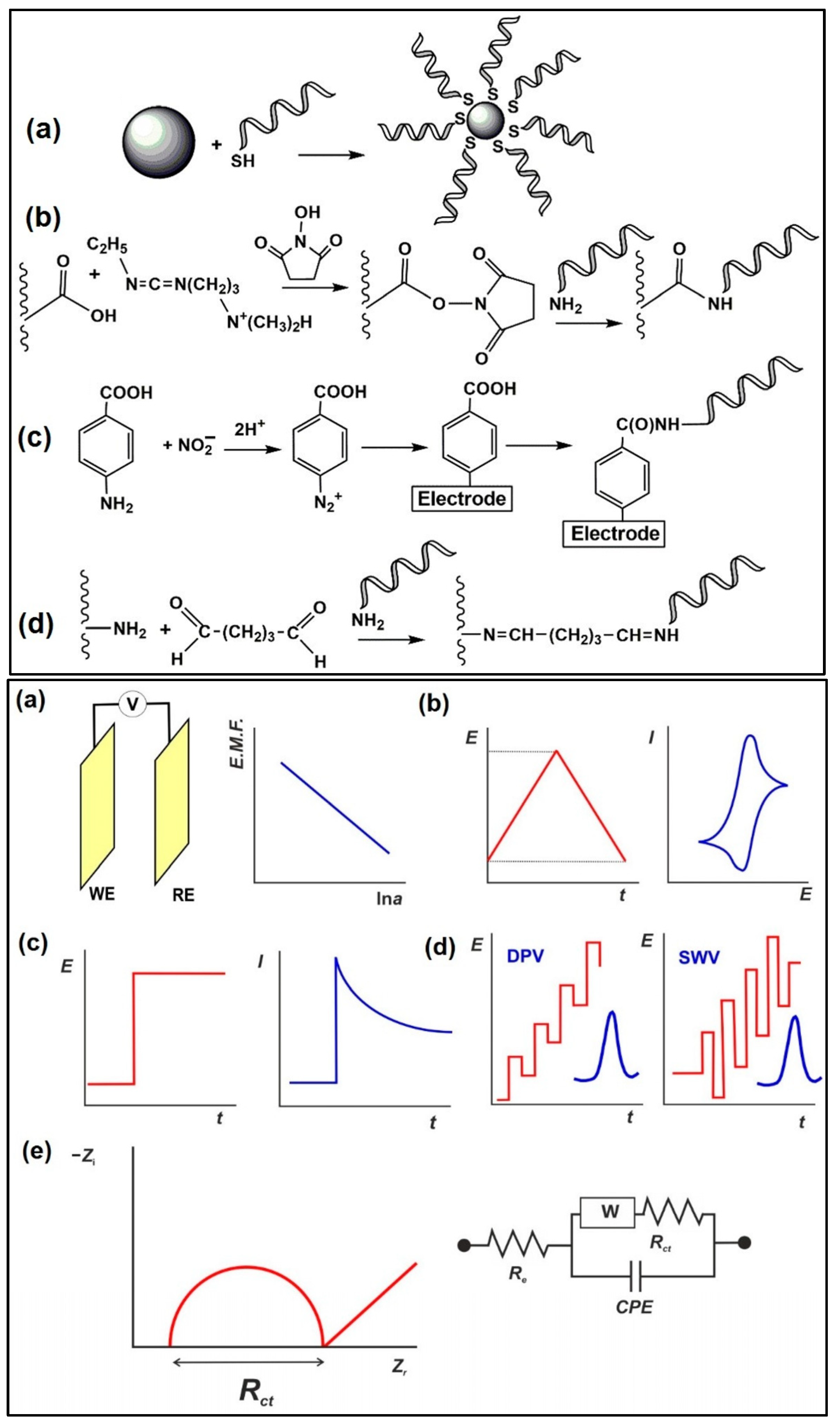 Biosensors 13 00867 g011 Biosensors 13 00867 g011