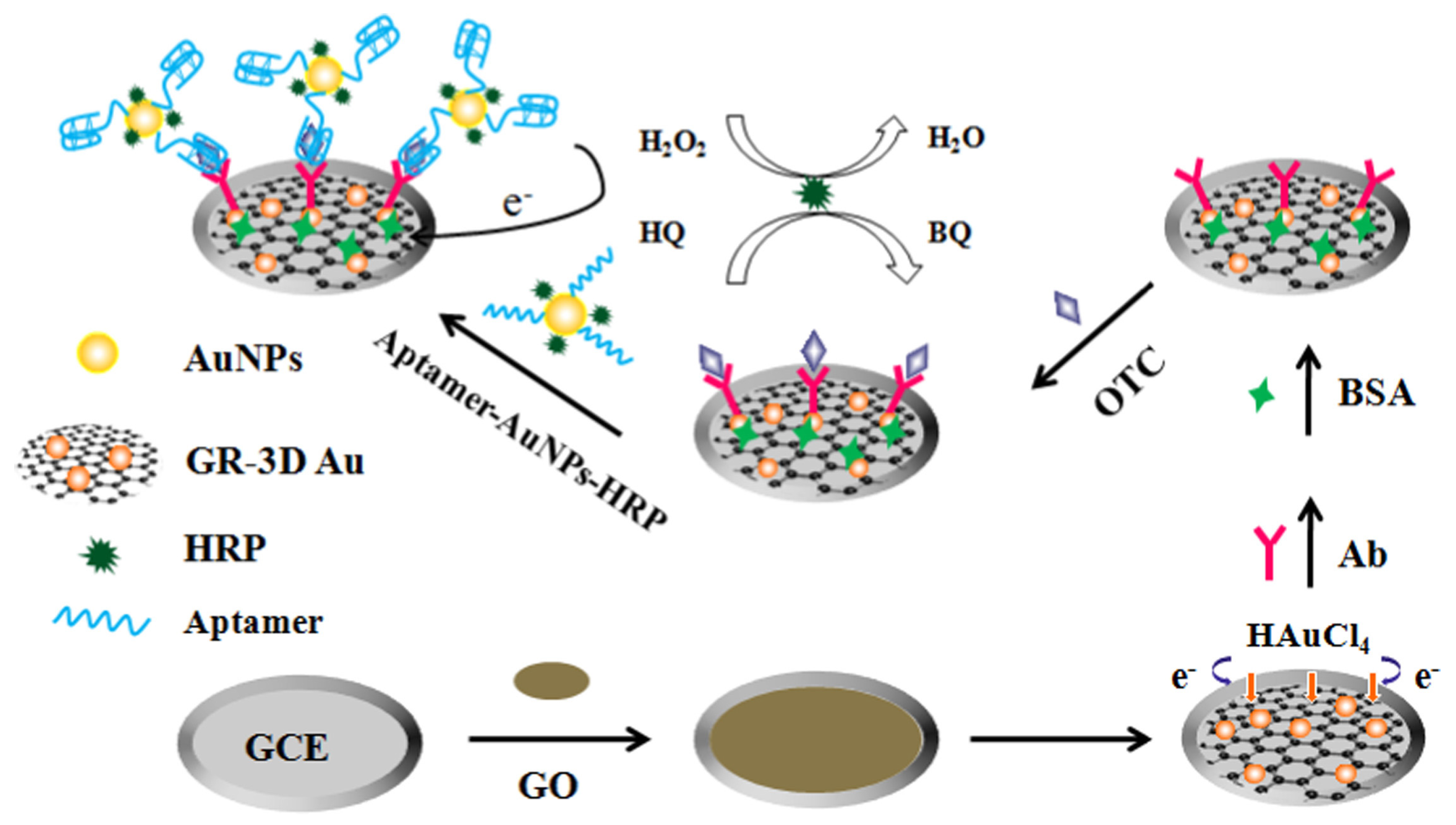 Biosensors 13 00867 g012 Biosensors 13 00867 g012