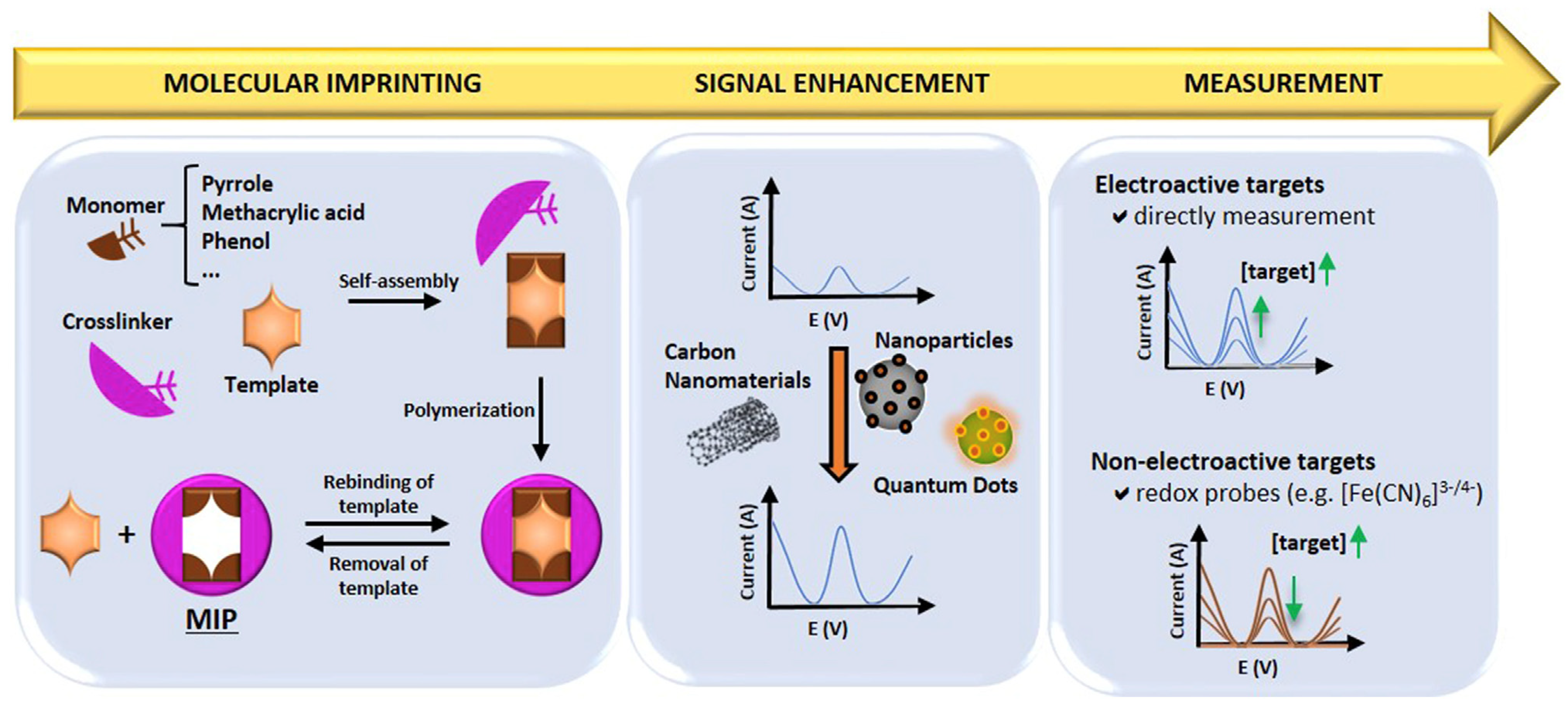 Biosensors 13 00867 g014 Biosensors 13 00867 g014