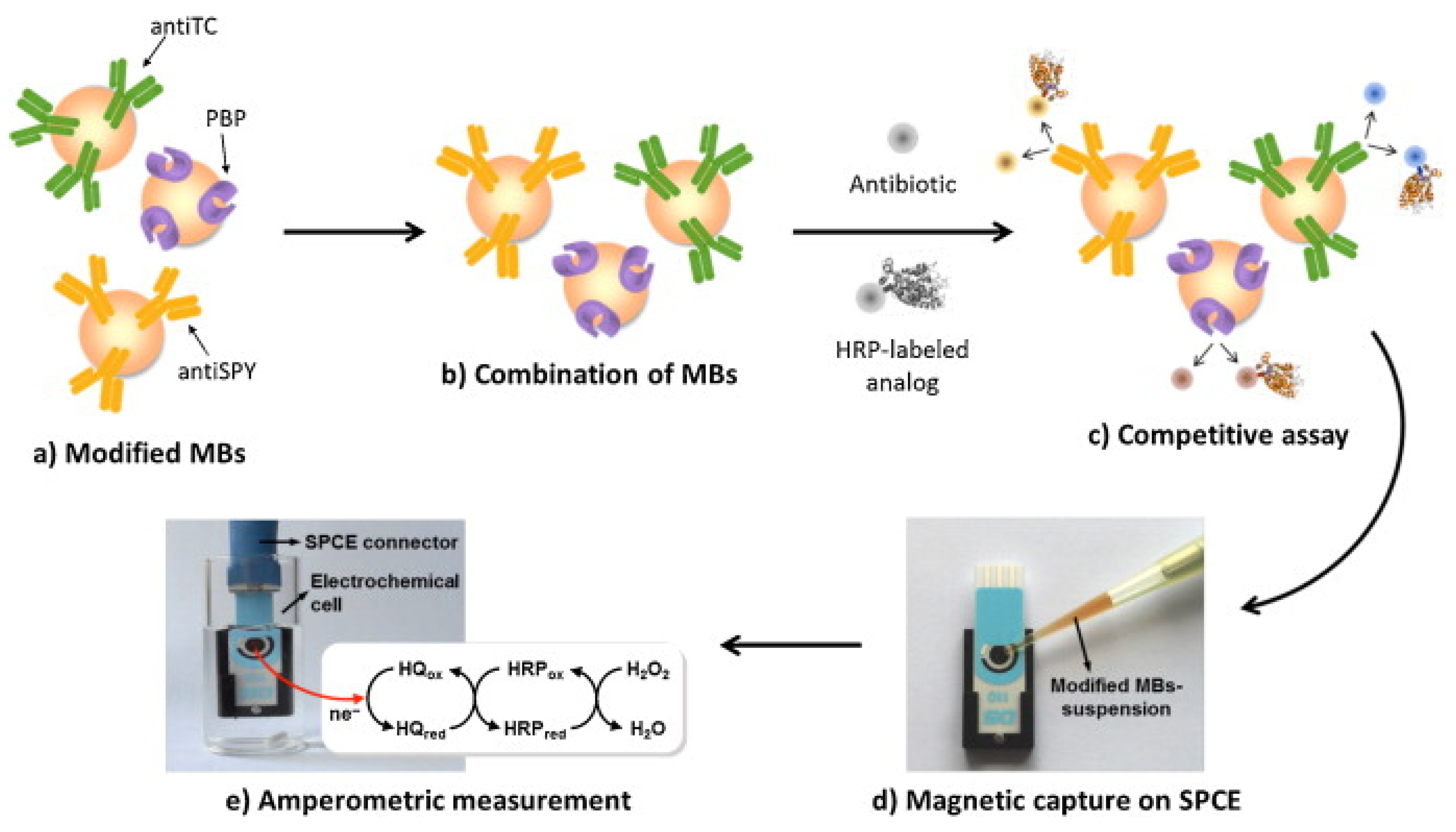 Biosensors 13 00867 g017 Biosensors 13 00867 g017