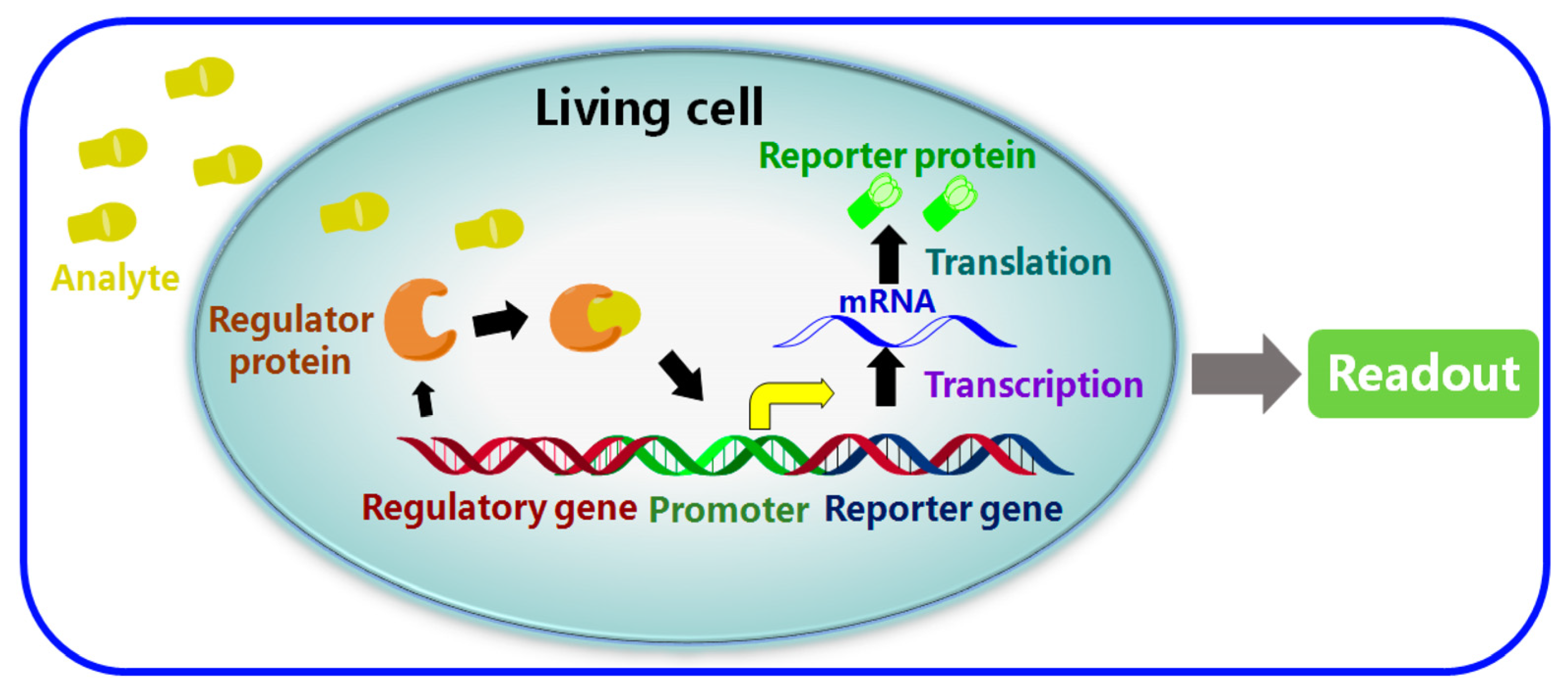 Biosensors 13 00867 g019 Biosensors 13 00867 g019