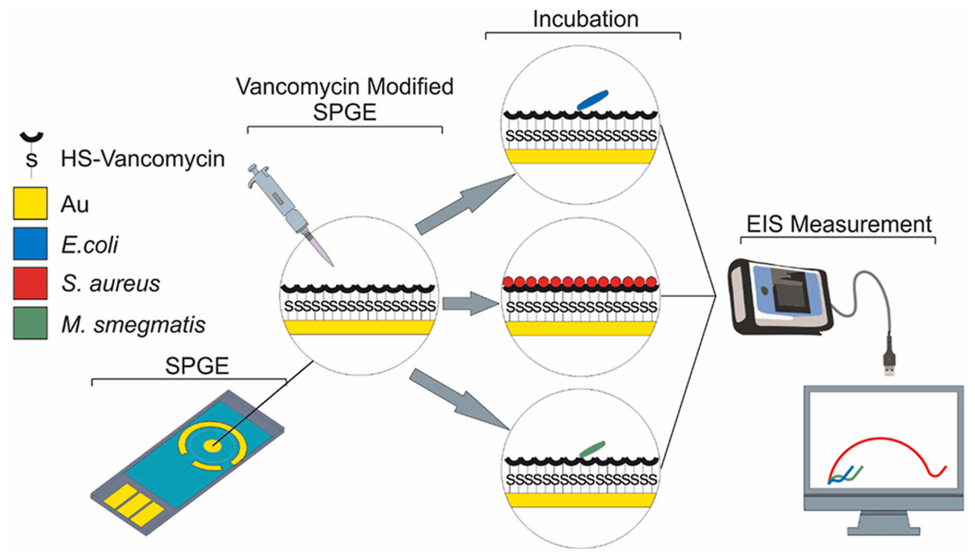Biosensors 13 00867 g020 Biosensors 13 00867 g020