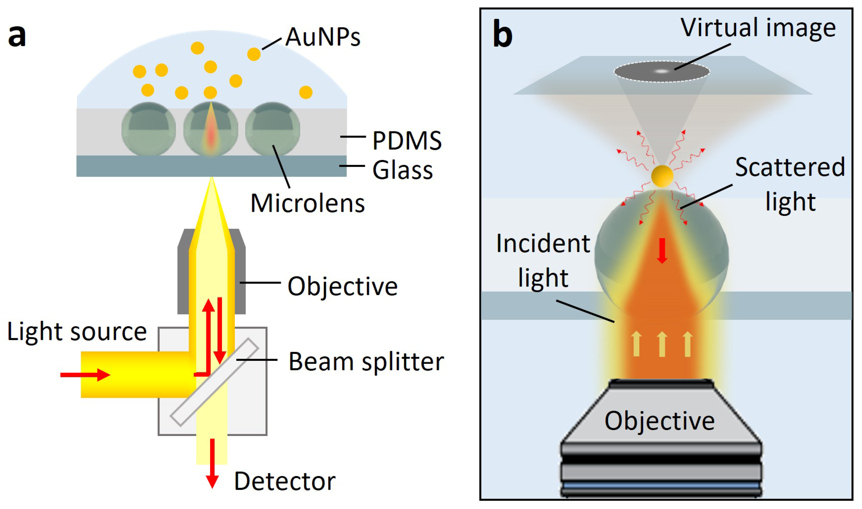 Biosensors 13 00871 g001