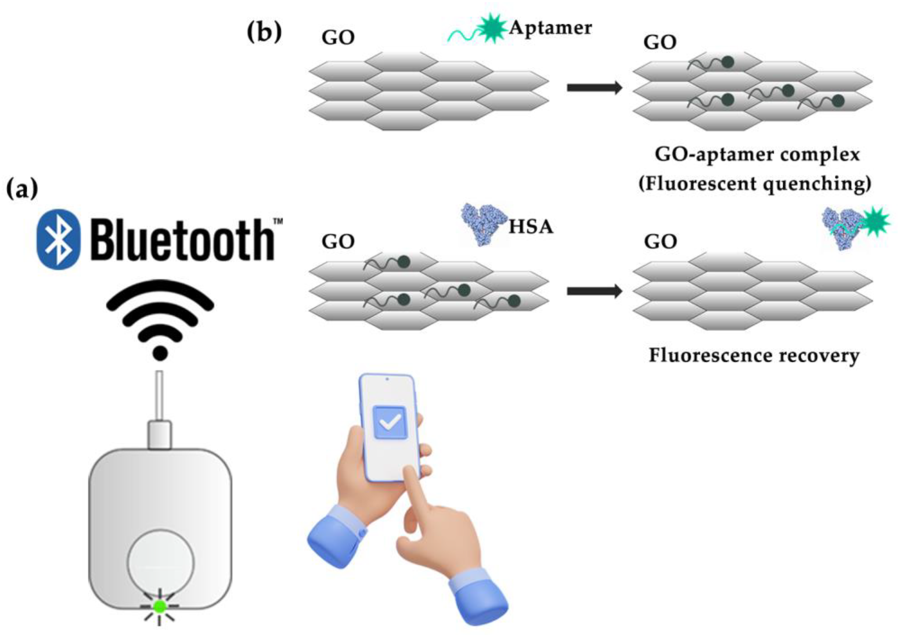 Biosensors 13 00876 g001