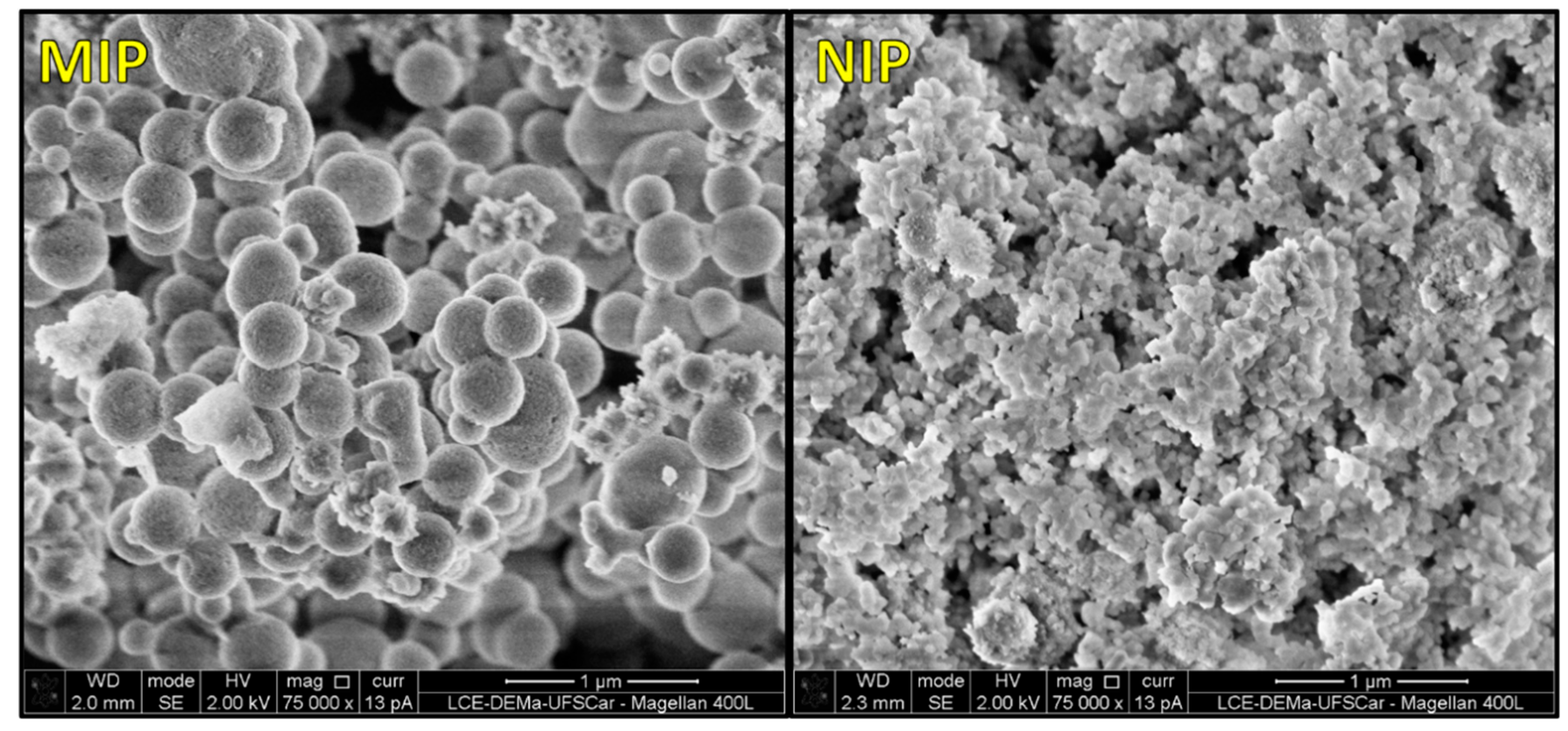 Biosensors 13 00877 g002