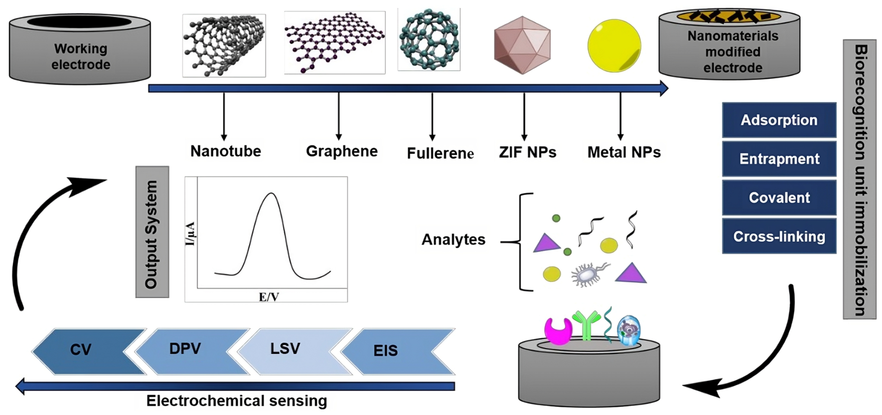 Biosensors 13 00882 g002