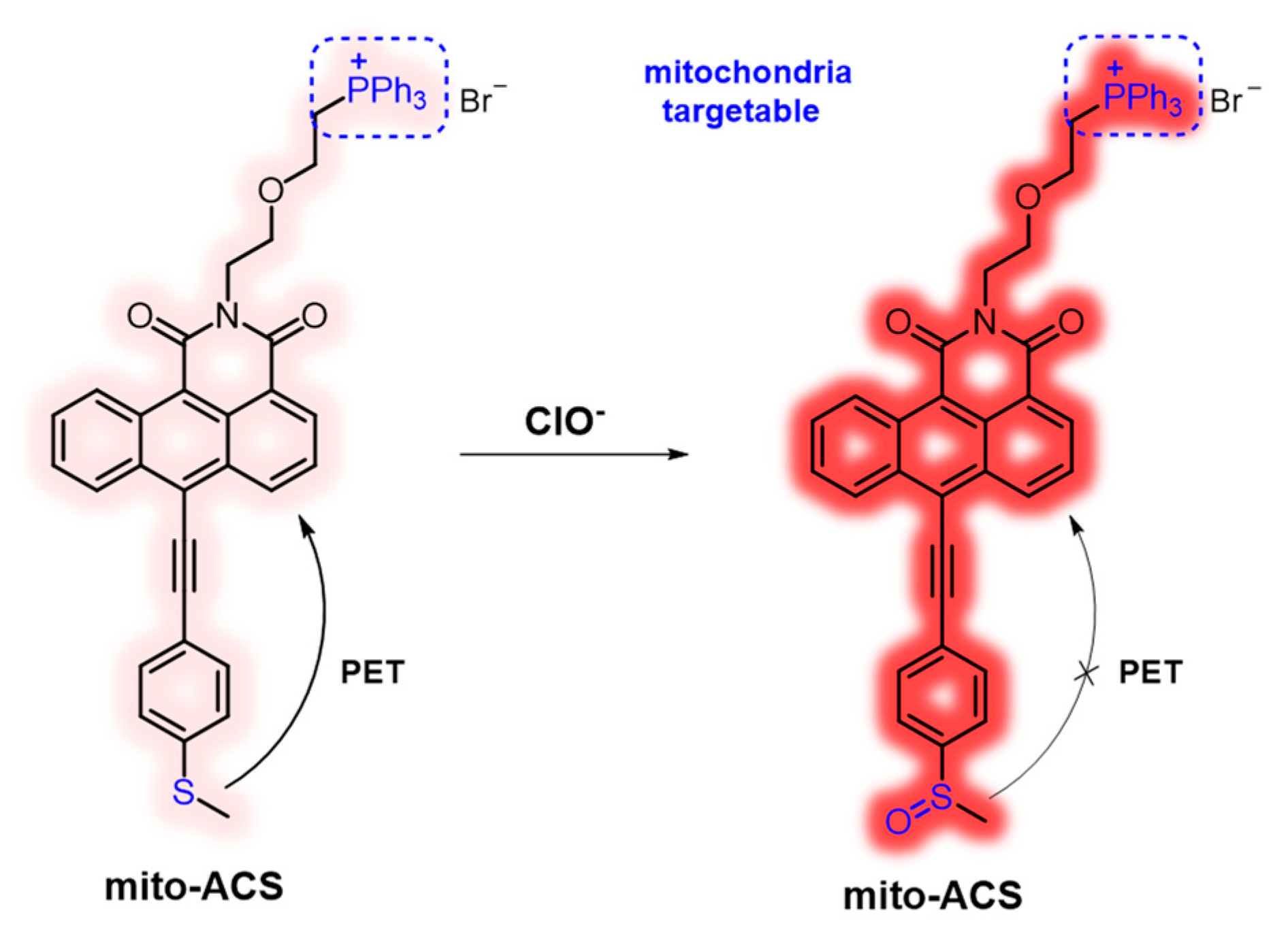 Biosensors 13 00883 g001