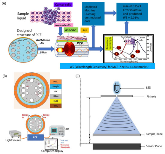 Biosensors 13 00884 g002