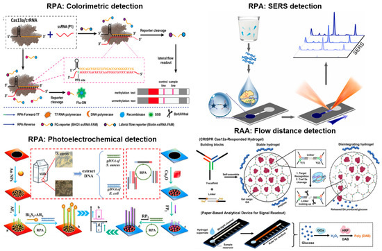 Biosensors 13 00885 g003