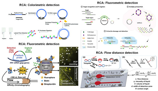 Biosensors 13 00885 g005