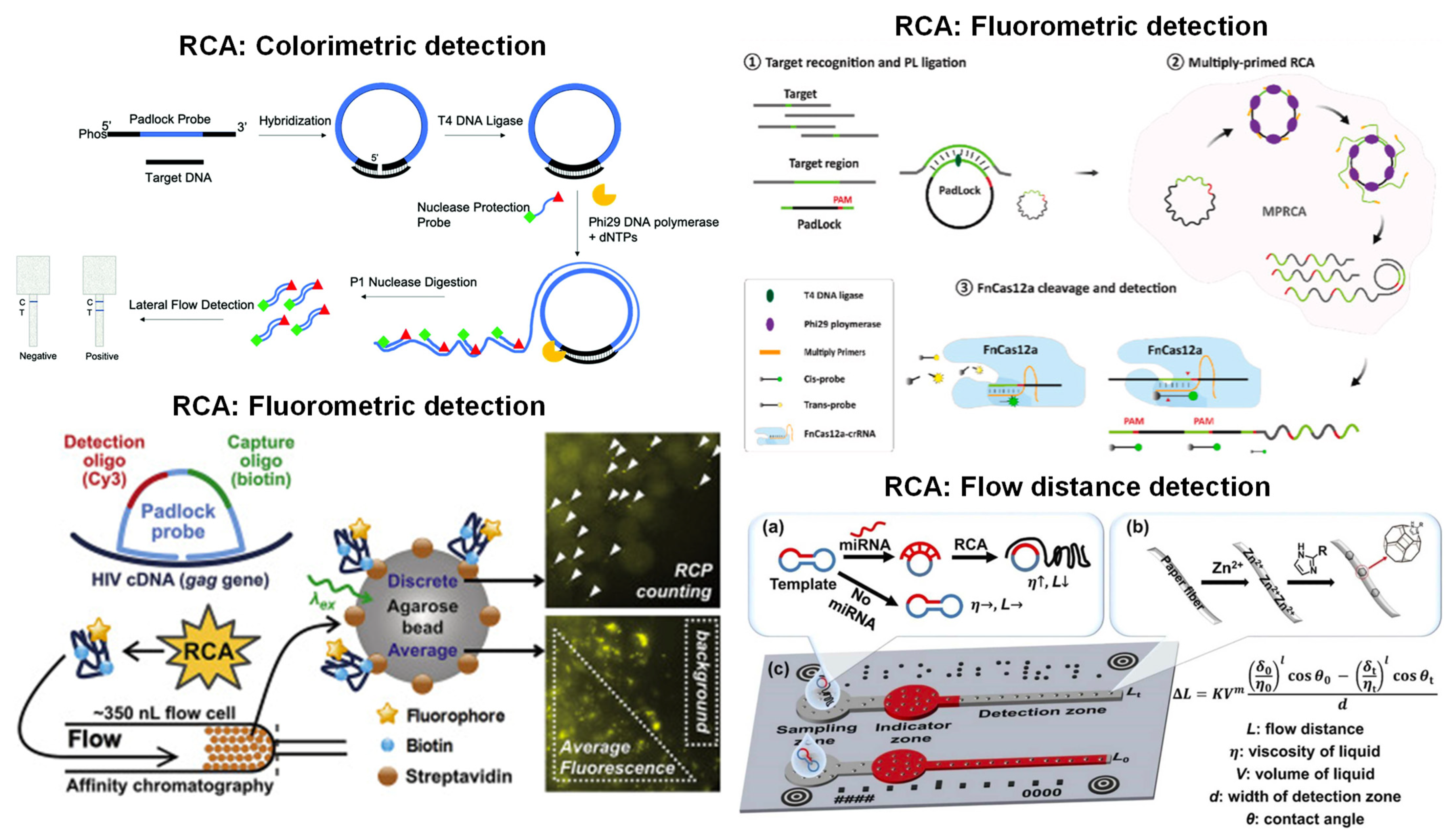 Biosensors 13 00885 g005
