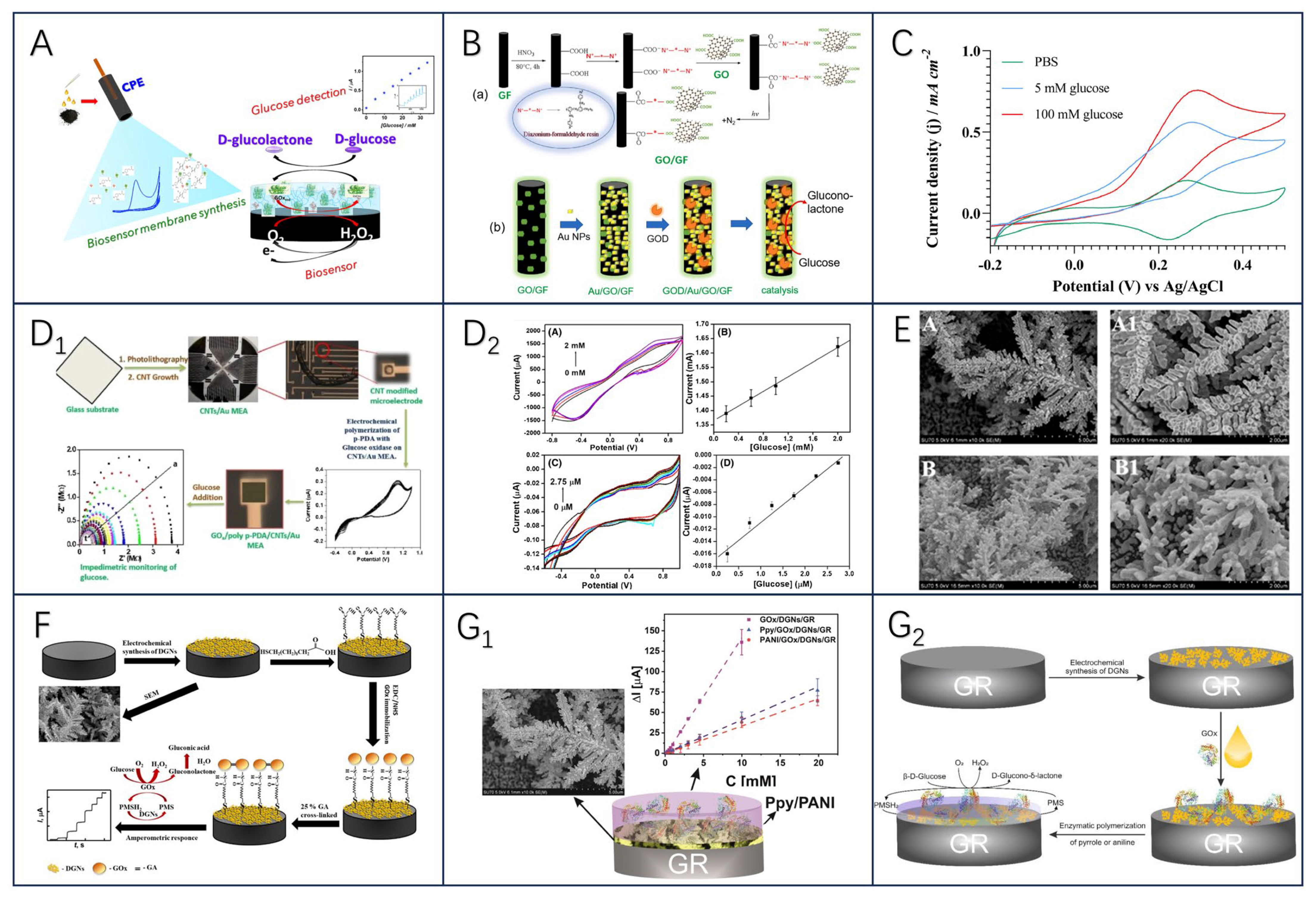 Biosensors 13 00886 g002