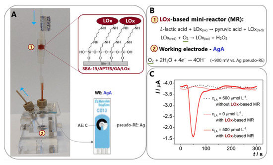 Biosensors 13 00886 g003
