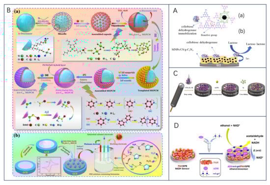 Biosensors 13 00886 g004