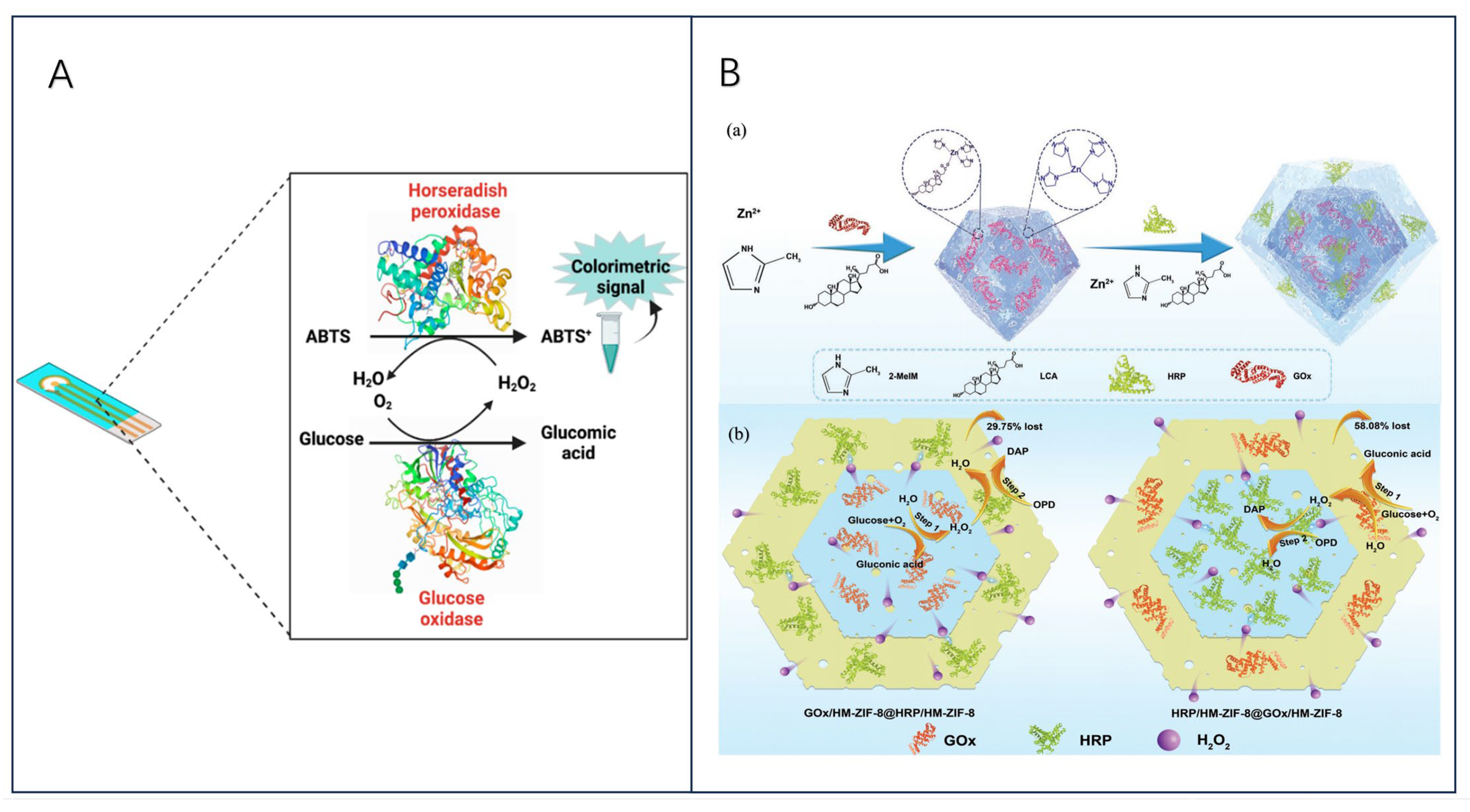 Biosensors 13 00886 g005