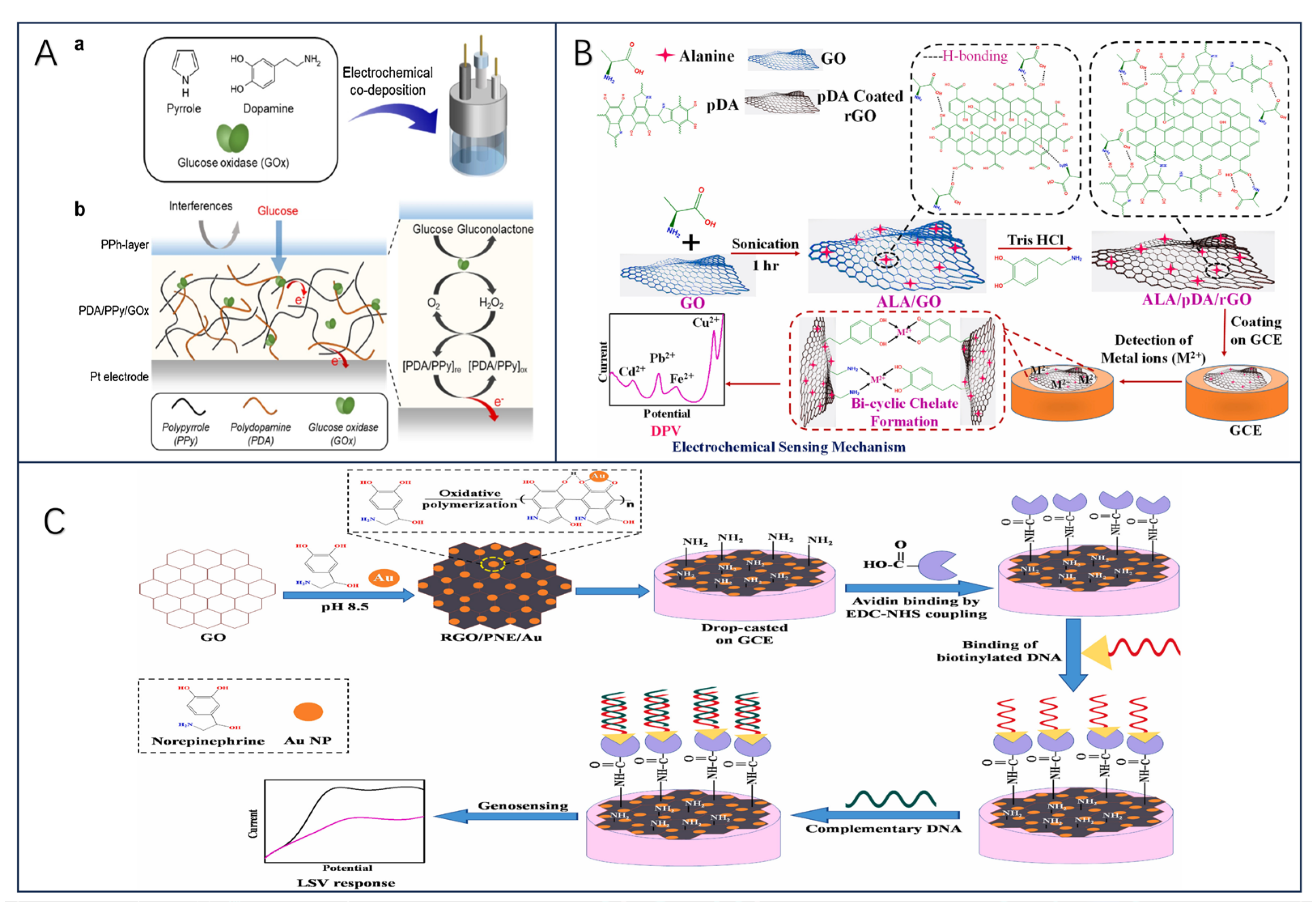 Biosensors 13 00886 g008