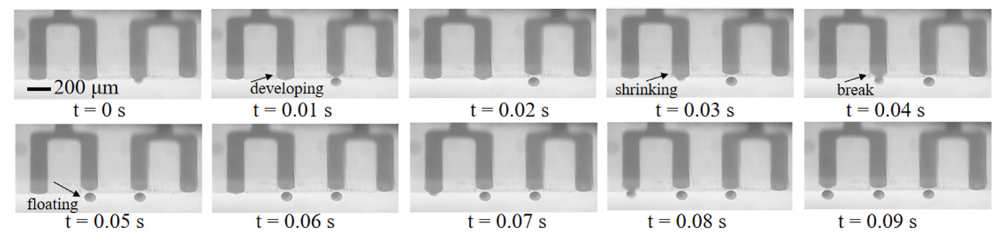 Biosensors 13 00888 g004 Biosensors 13 00888 g004