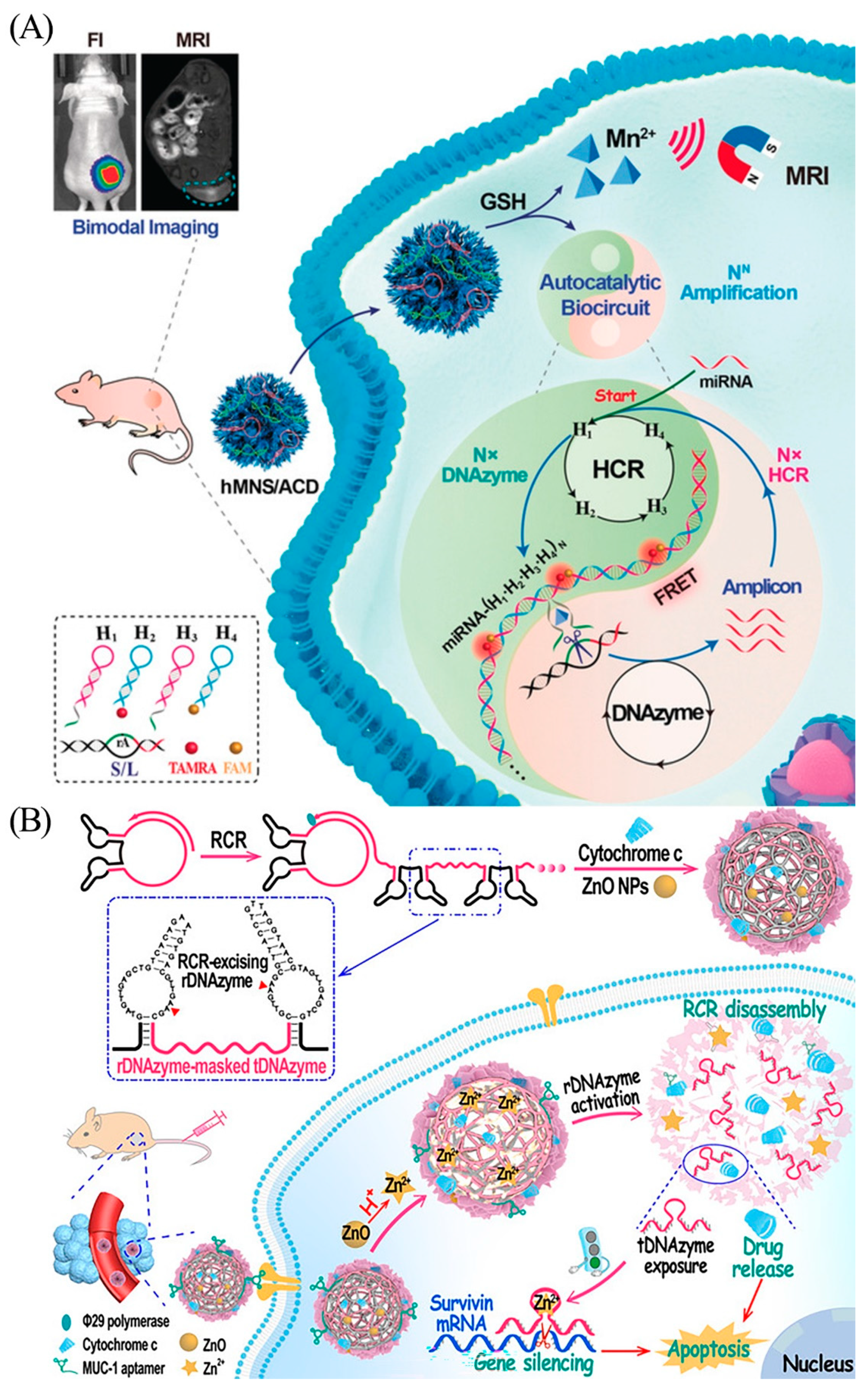 Biosensors 13 00889 g006