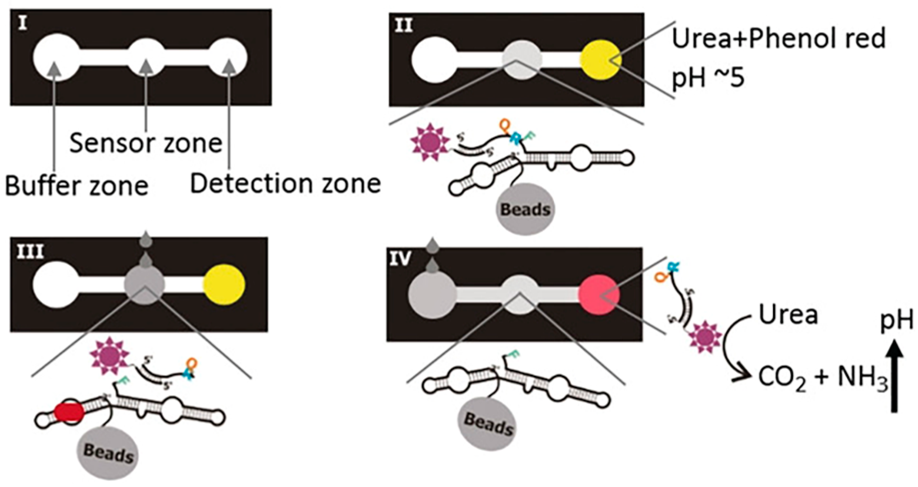 Biosensors 13 00889 g008