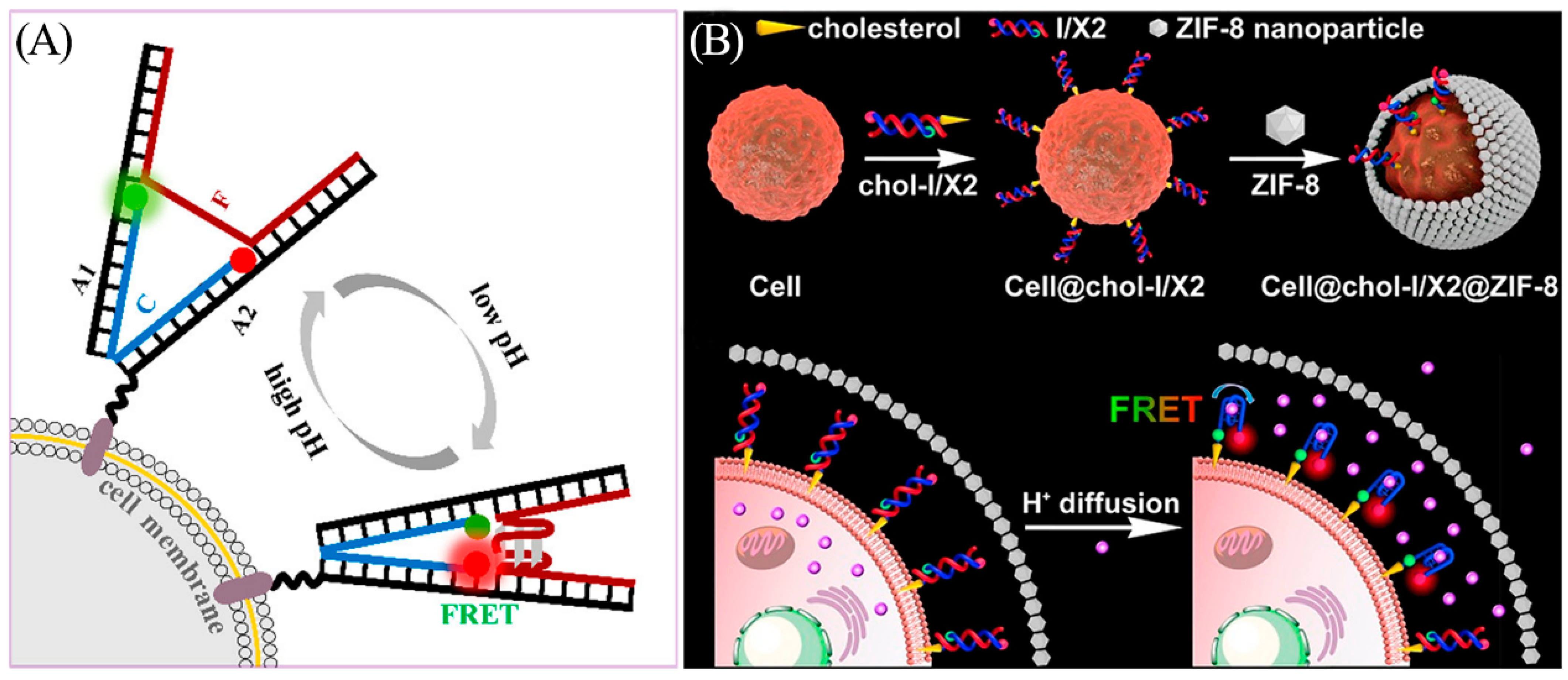 Biosensors 13 00889 g009