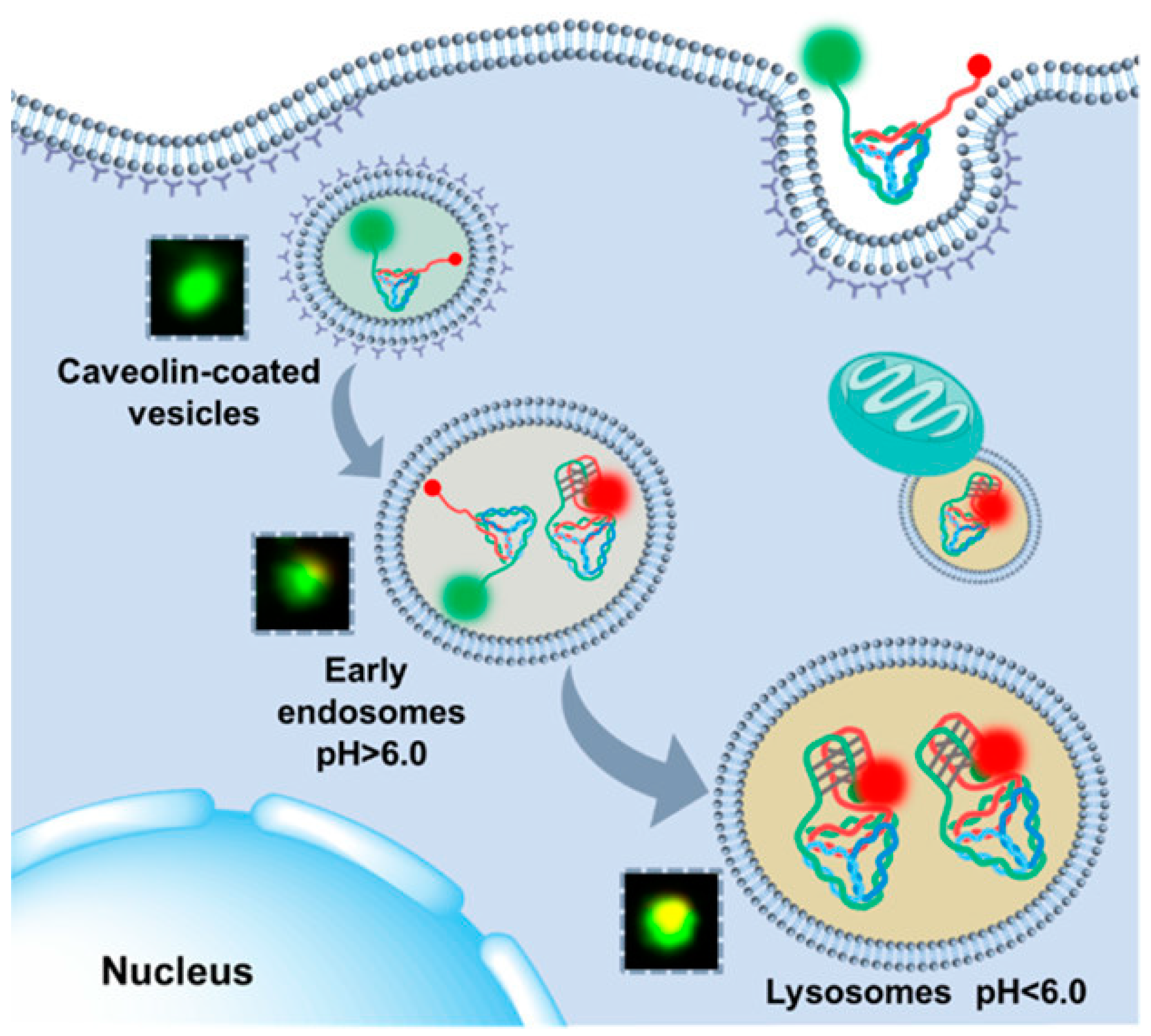 Biosensors 13 00889 g010