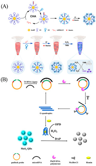 Biosensors 13 00889 g012