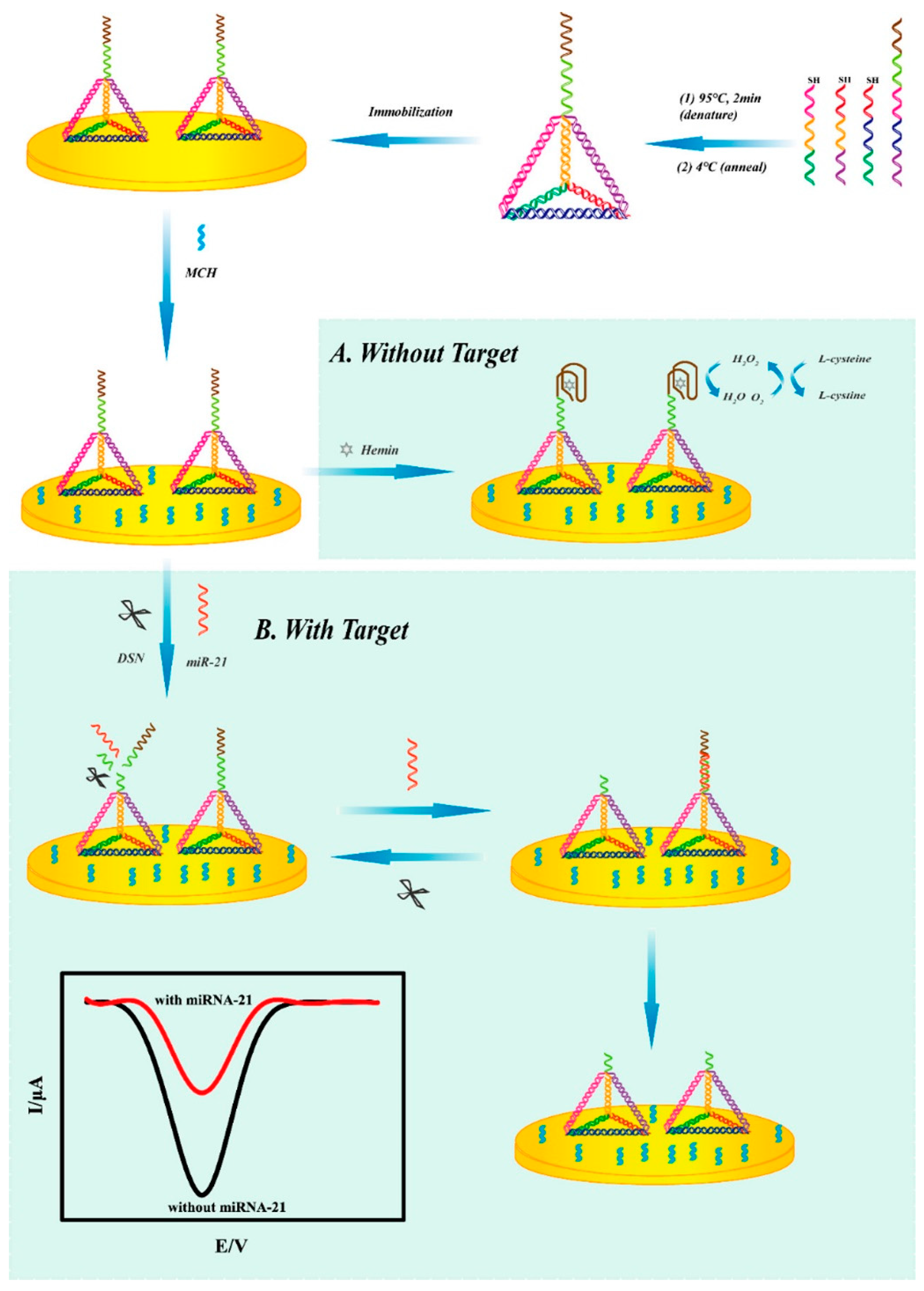 Biosensors 13 00889 g013