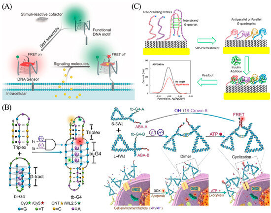 Biosensors 13 00889 g014