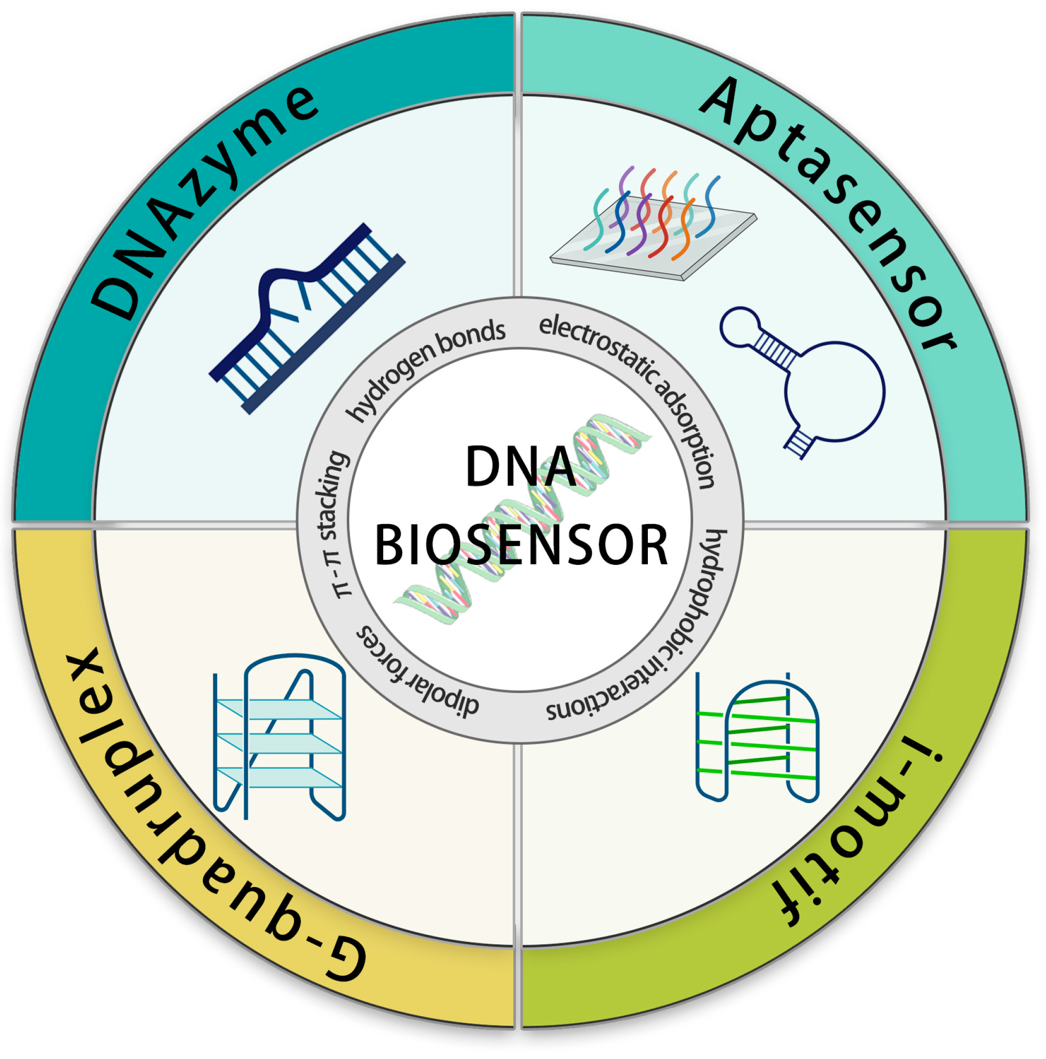 Biosensors 13 00889 sch001