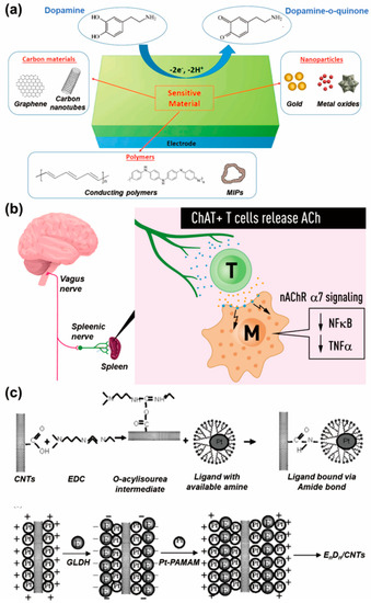 Biosensors 13 00892 g002