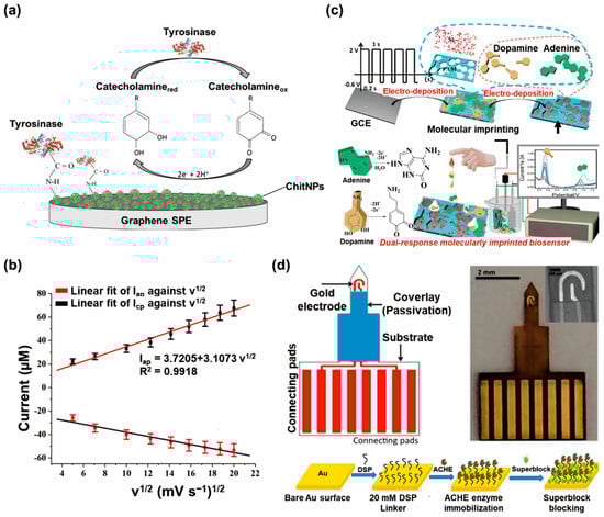 Biosensors 13 00892 g003