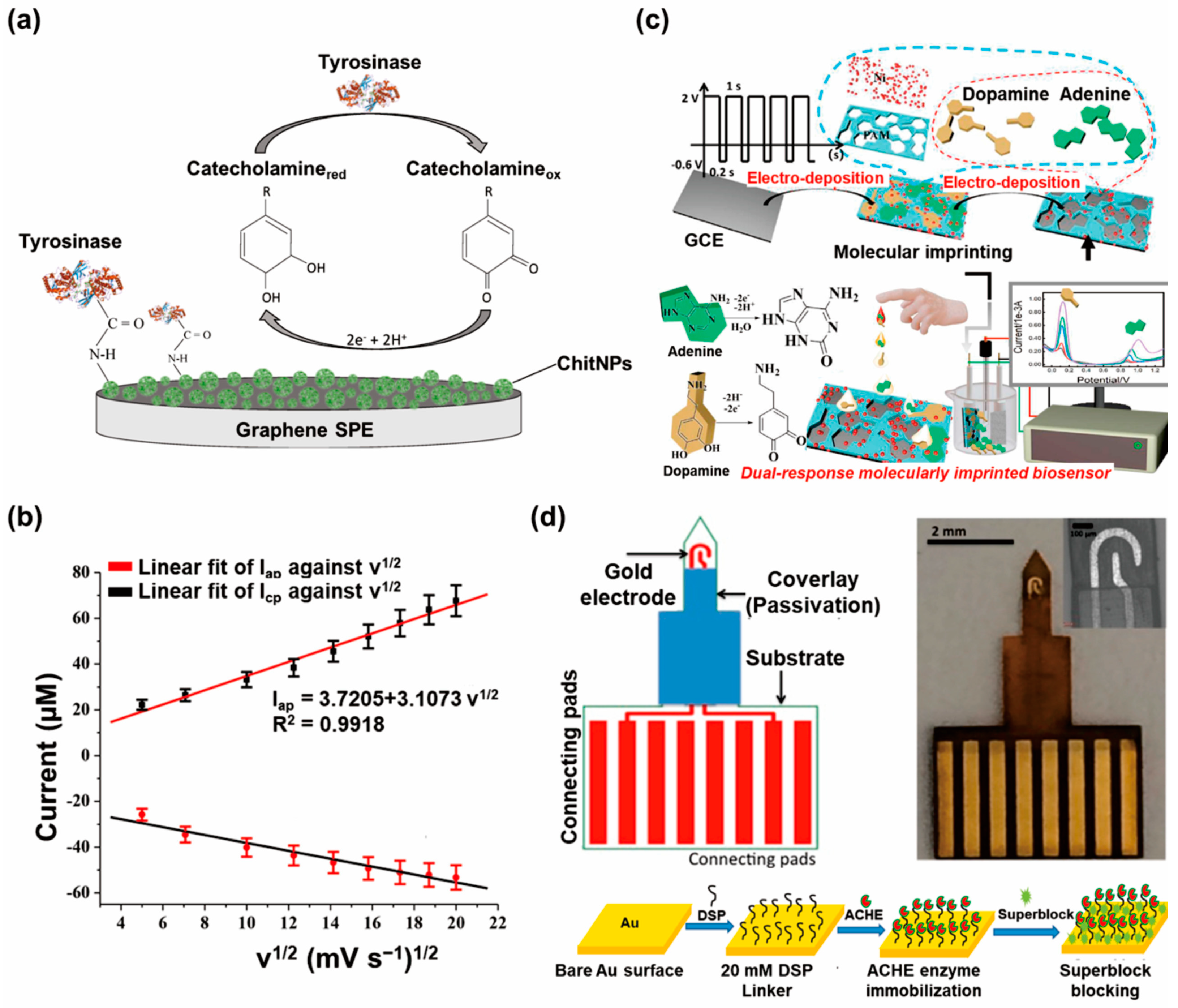 Biosensors 13 00892 g003