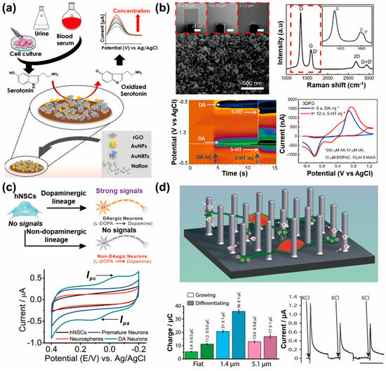 Biosensors 13 00892 g004