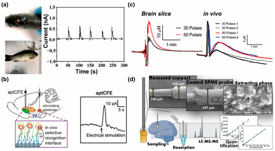 Biosensors 13 00892 g005