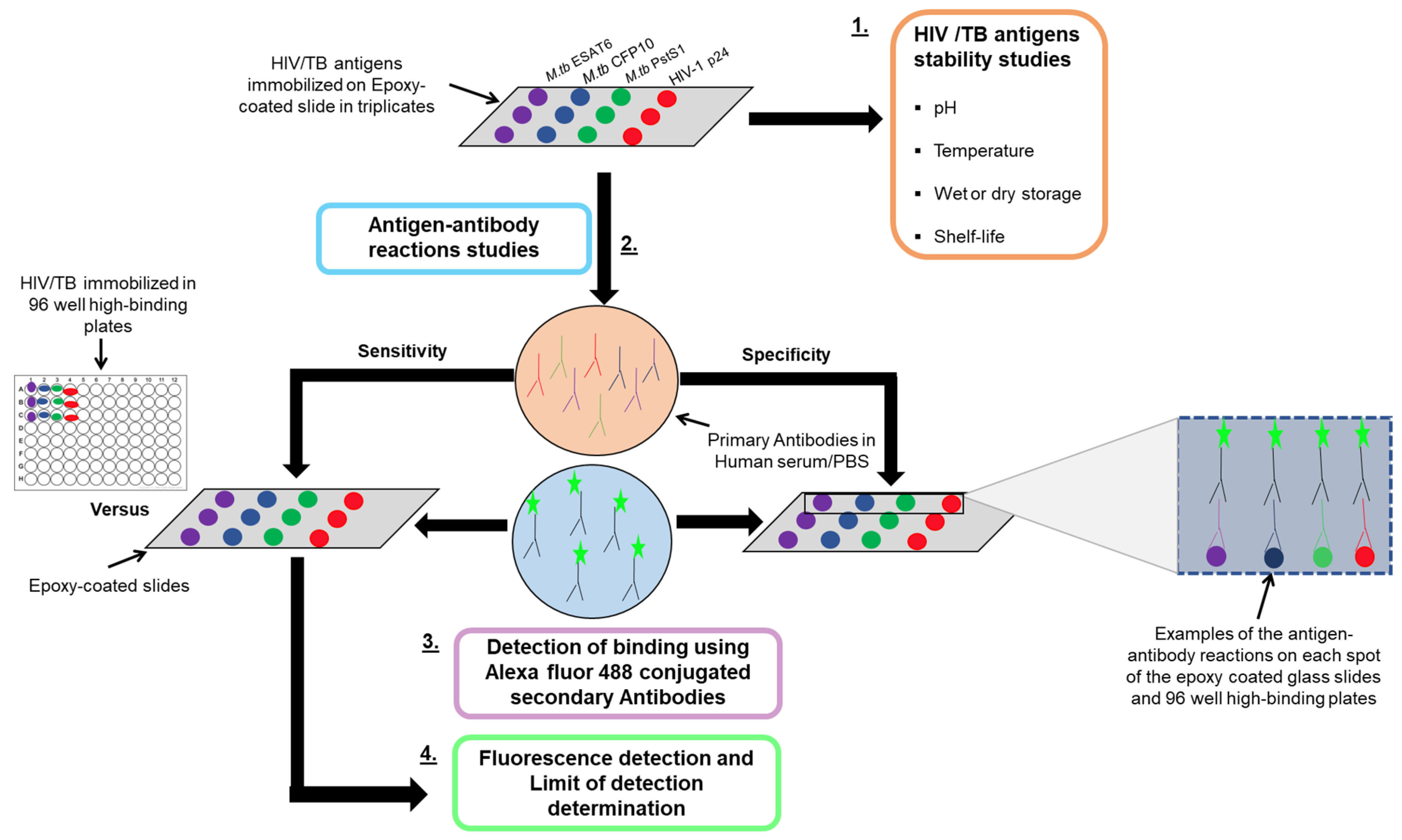 Biosensors 13 00894 sch001