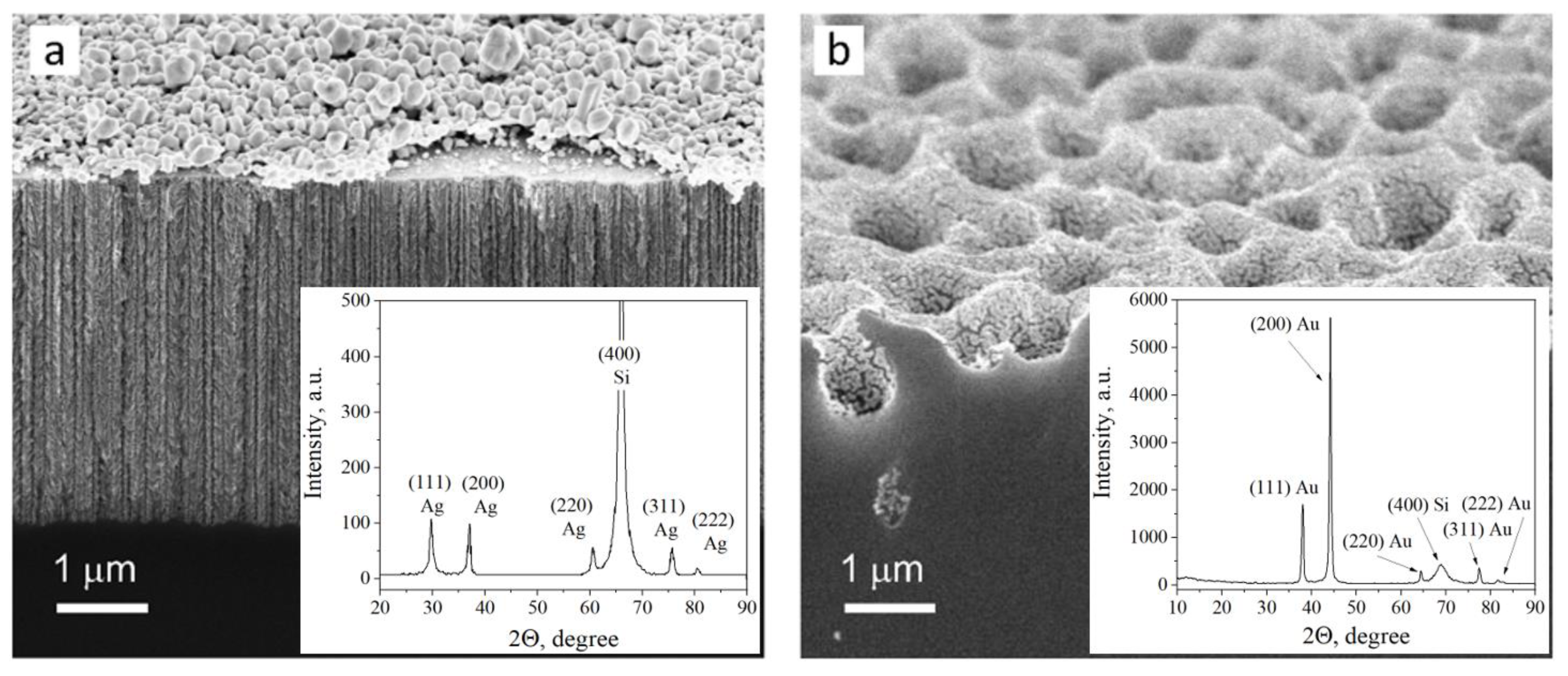Biosensors 13 00895 g001