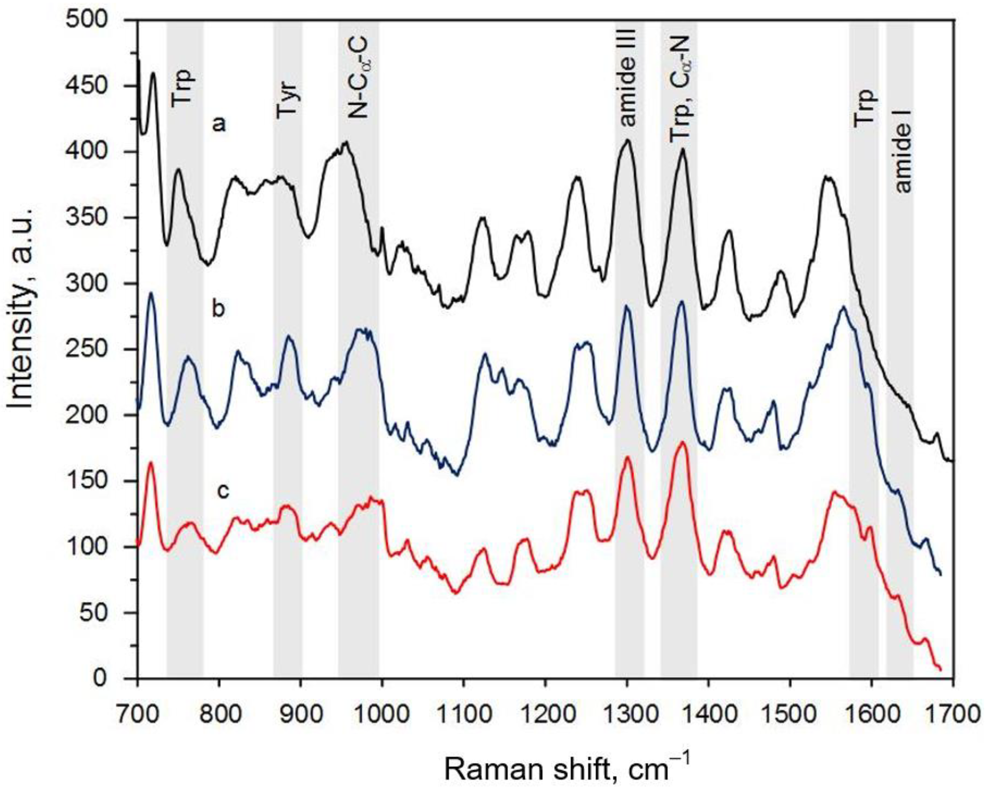 Biosensors 13 00895 g005