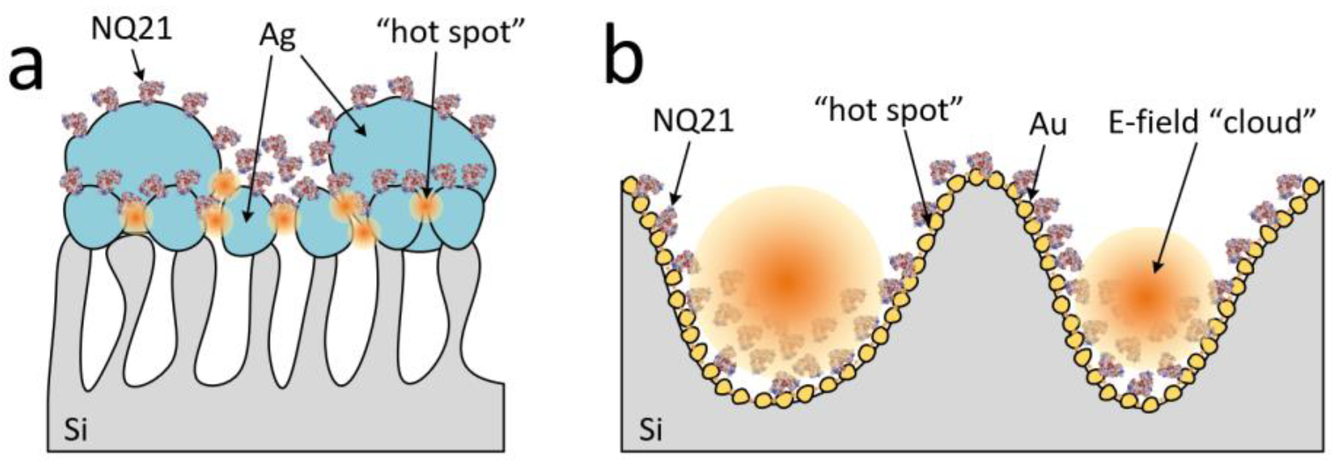Biosensors 13 00895 g007