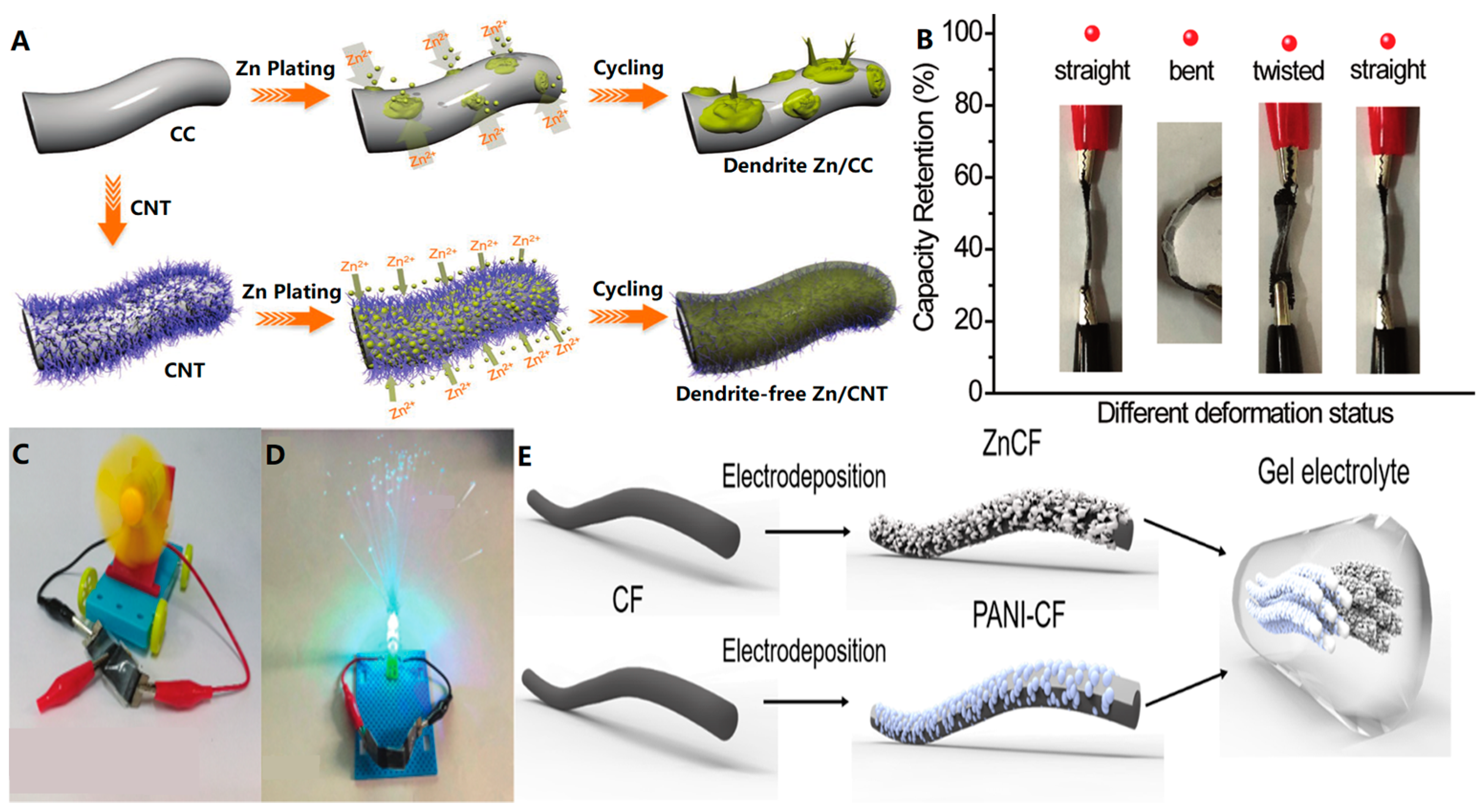 Biosensors 13 00896 g007