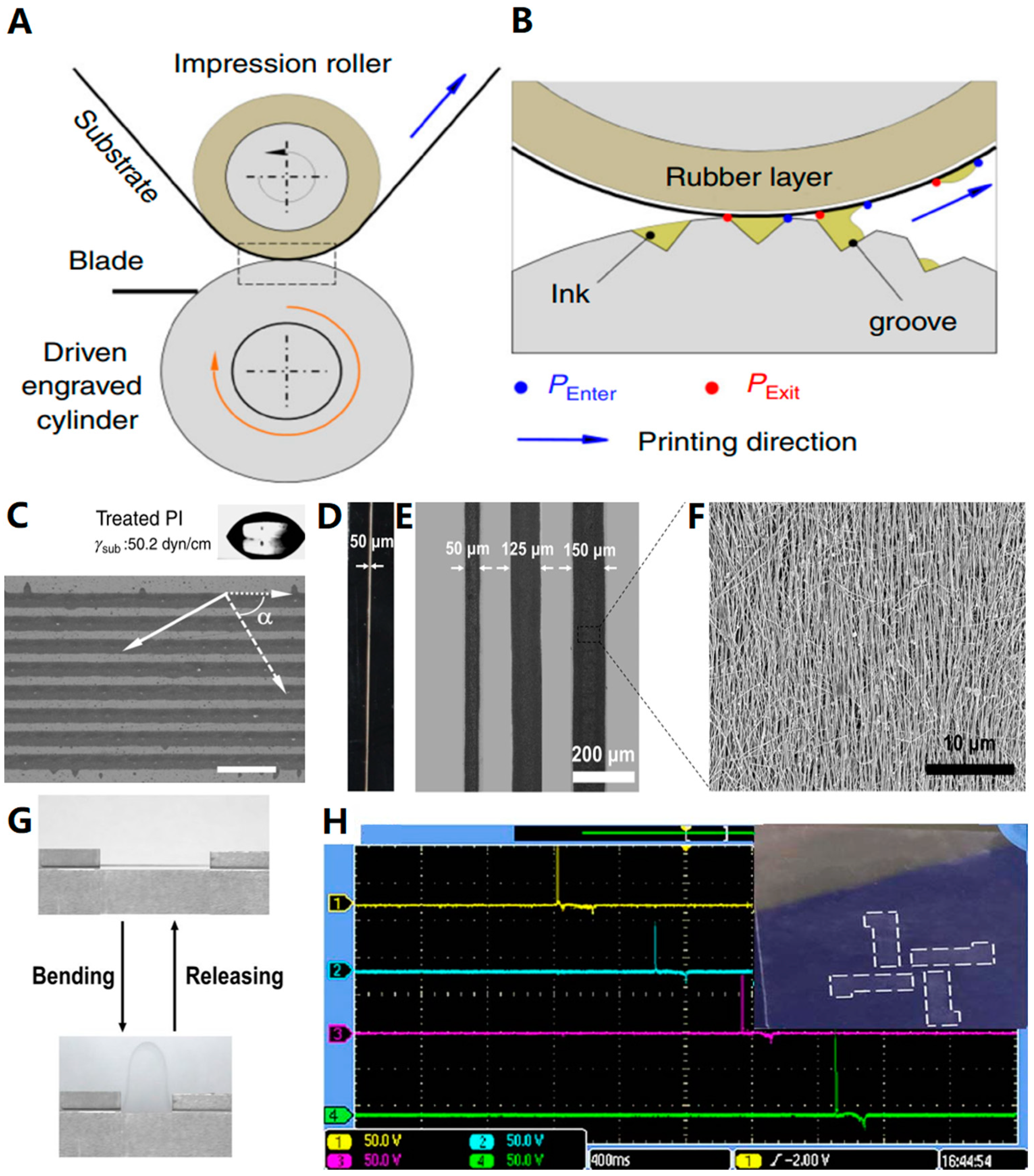 Biosensors 13 00896 g010