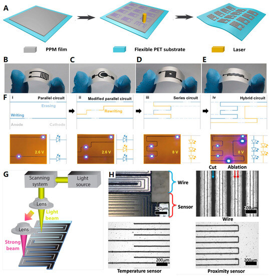 Biosensors 13 00896 g013