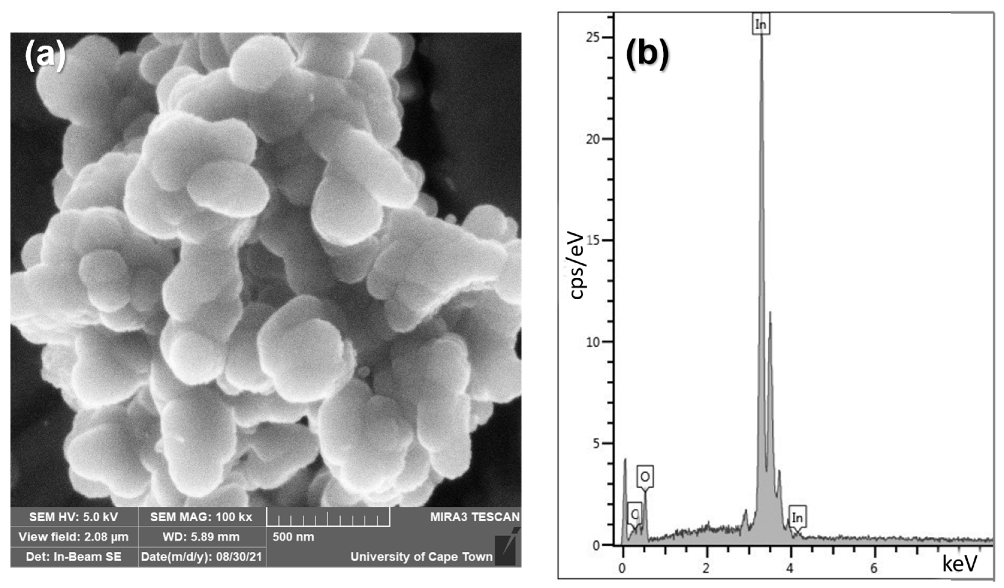 Biosensors 13 00897 g004