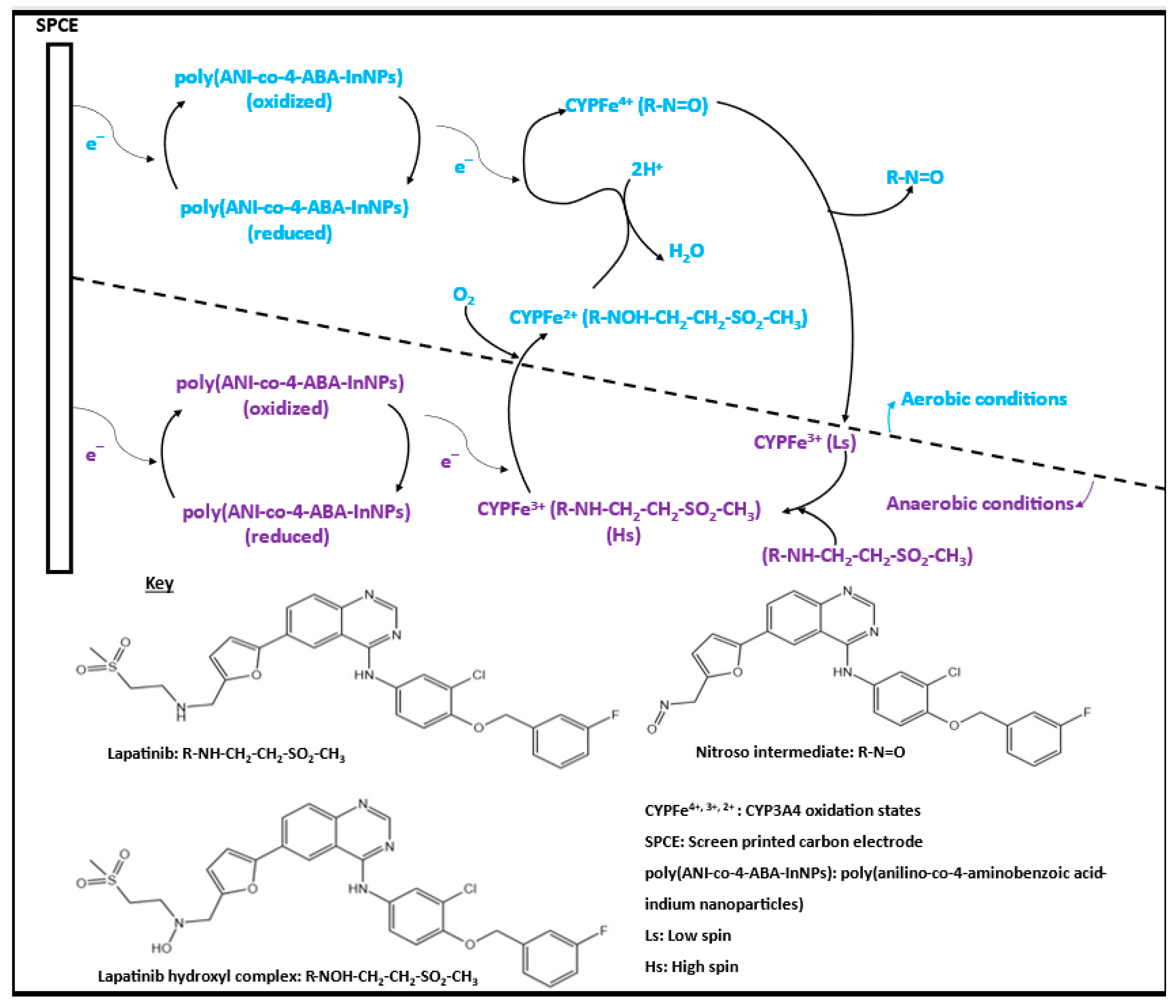 Biosensors 13 00897 sch002