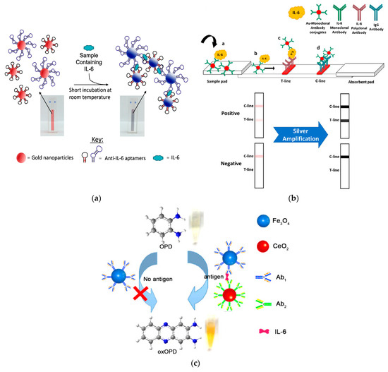 Biosensors 13 00898 g004