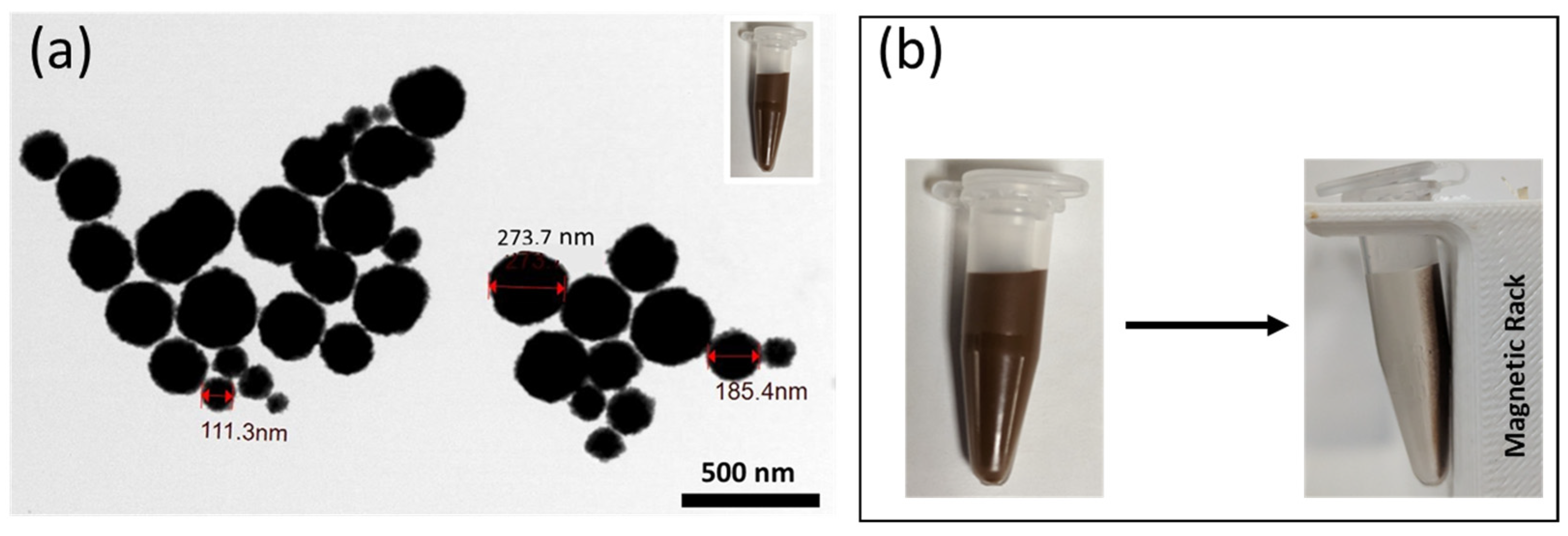 Biosensors 13 00902 g001